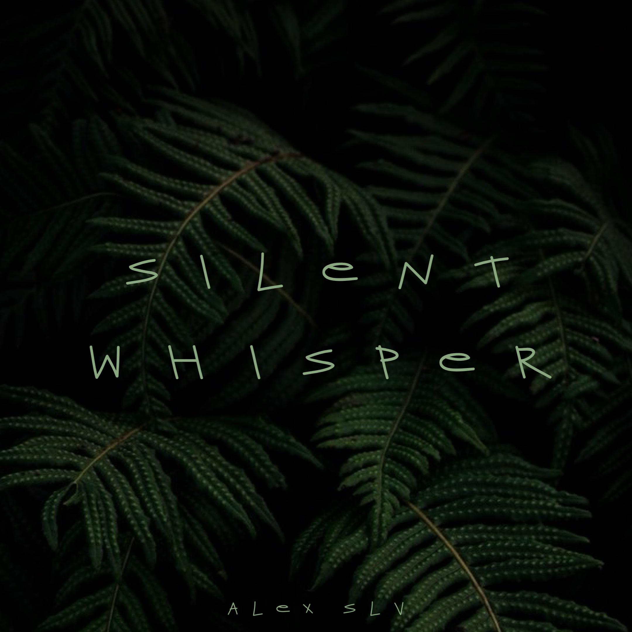 Постер альбома Silent Whisper