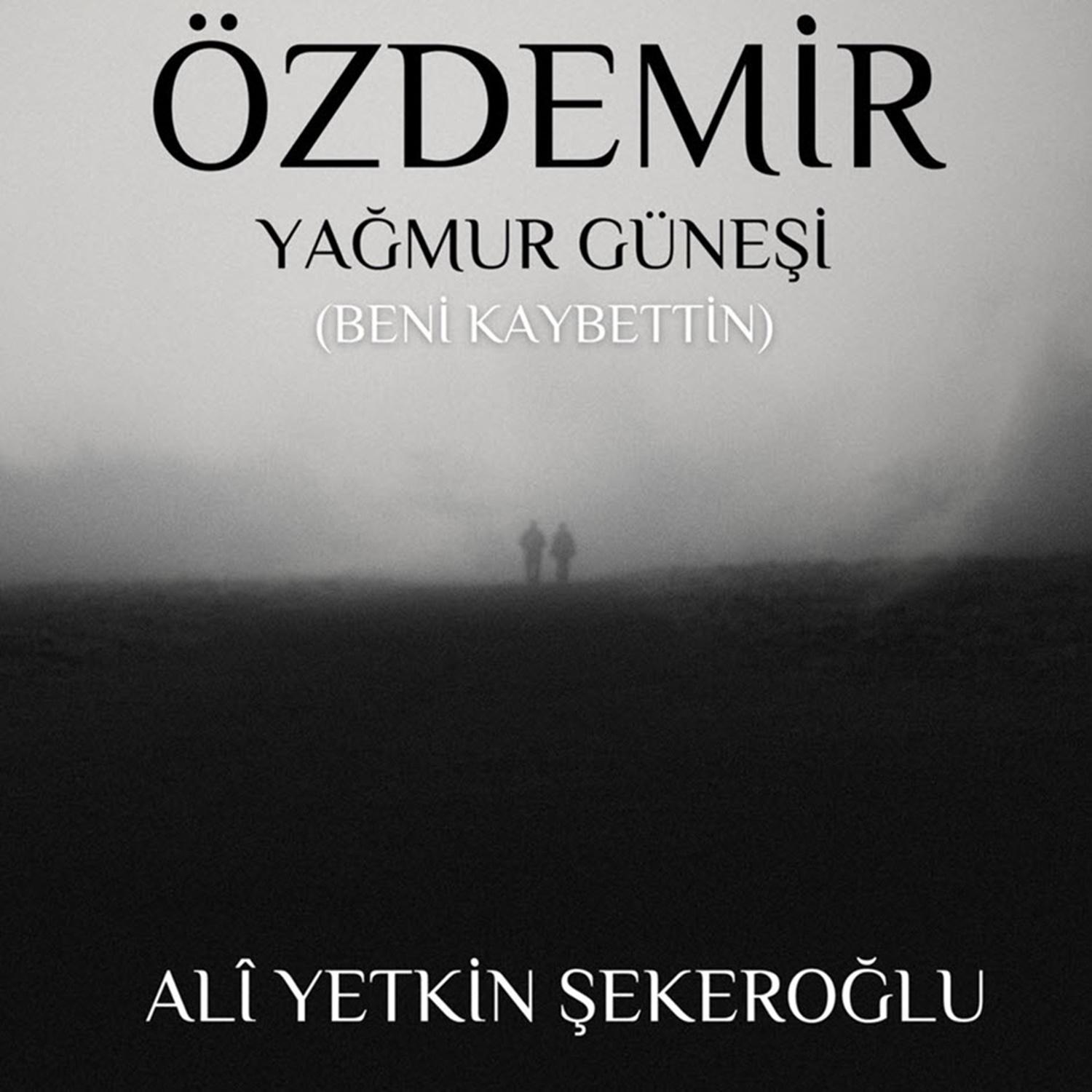 Постер альбома Yağmur Güneşi