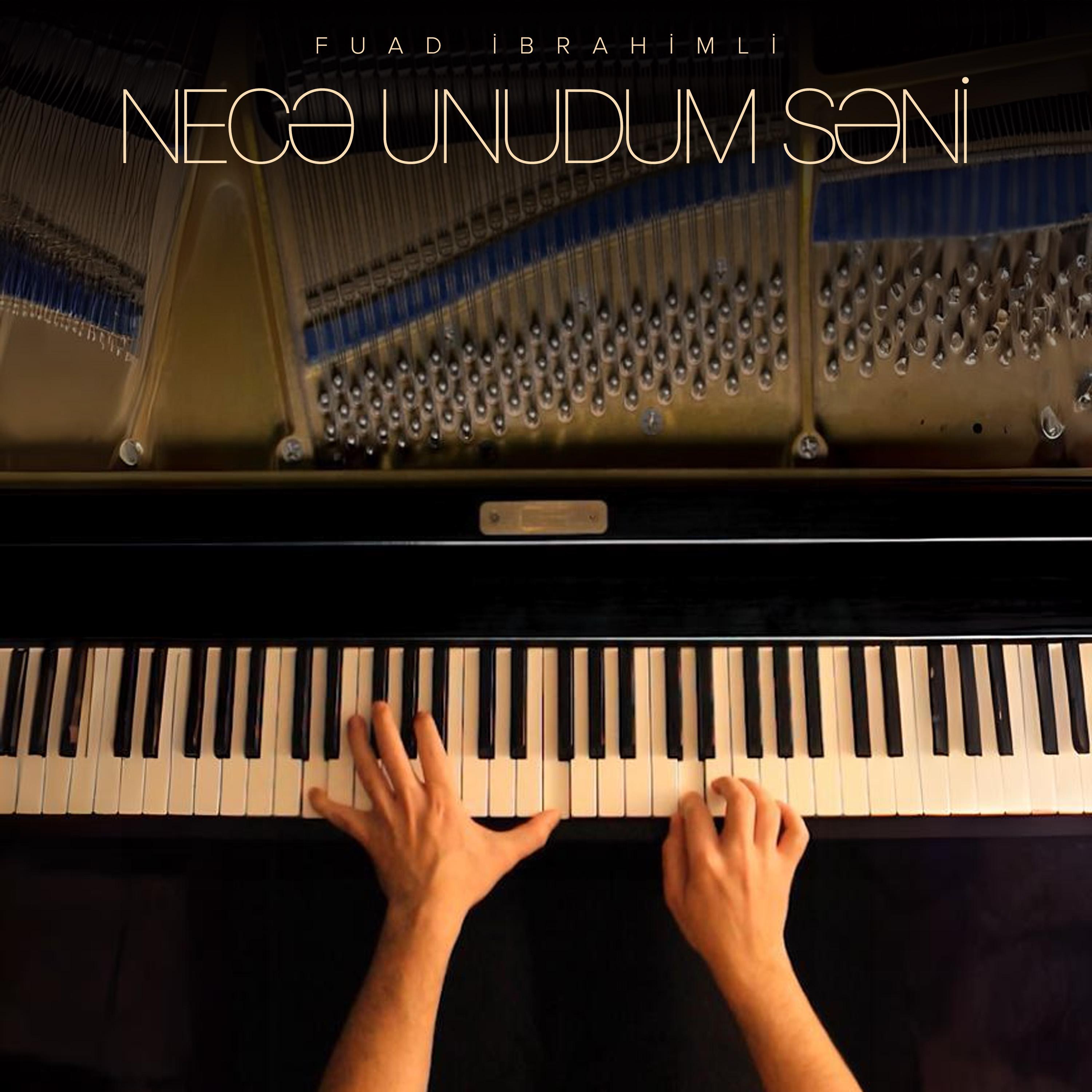 Постер альбома Necə Unudum Səni