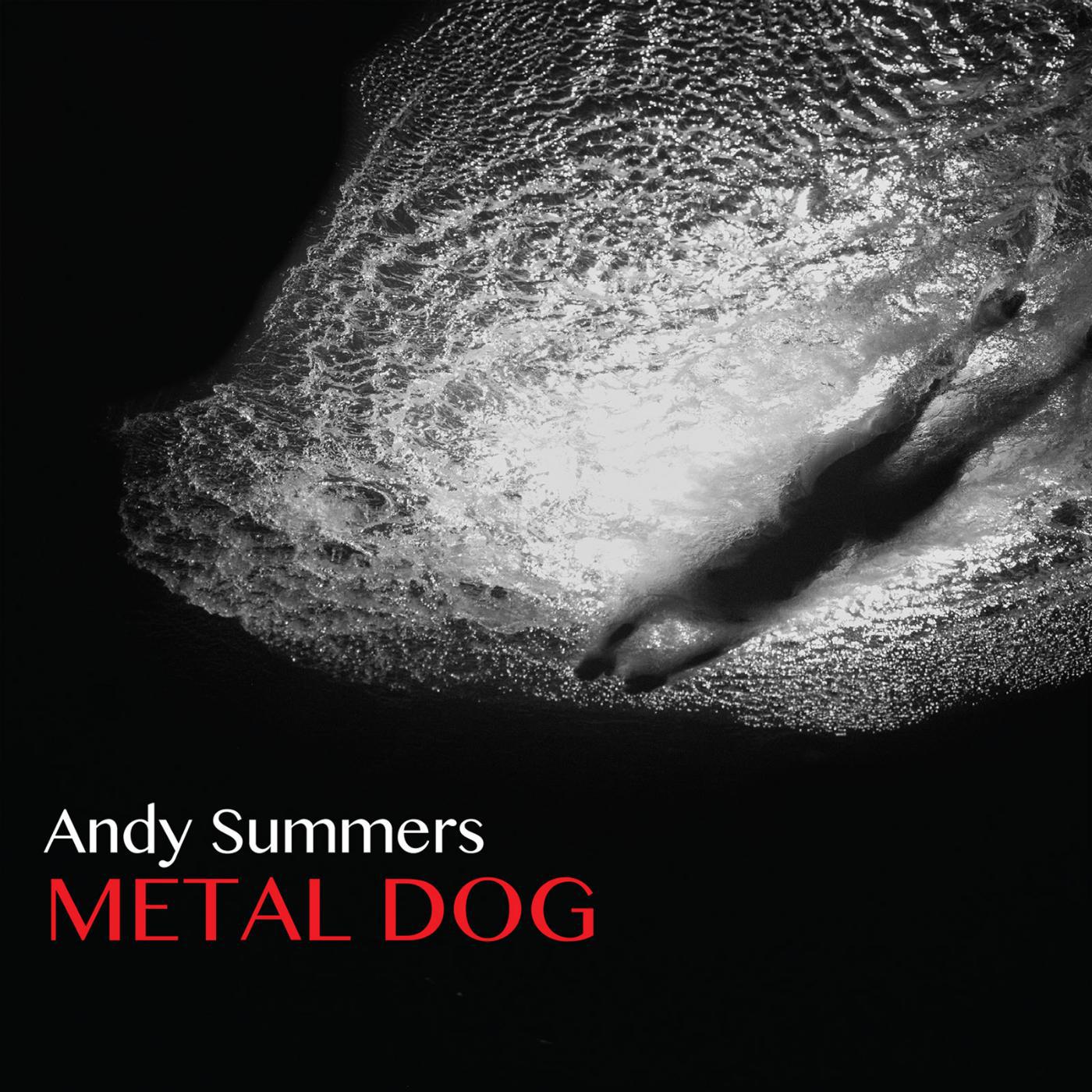 Постер альбома Metal Dog