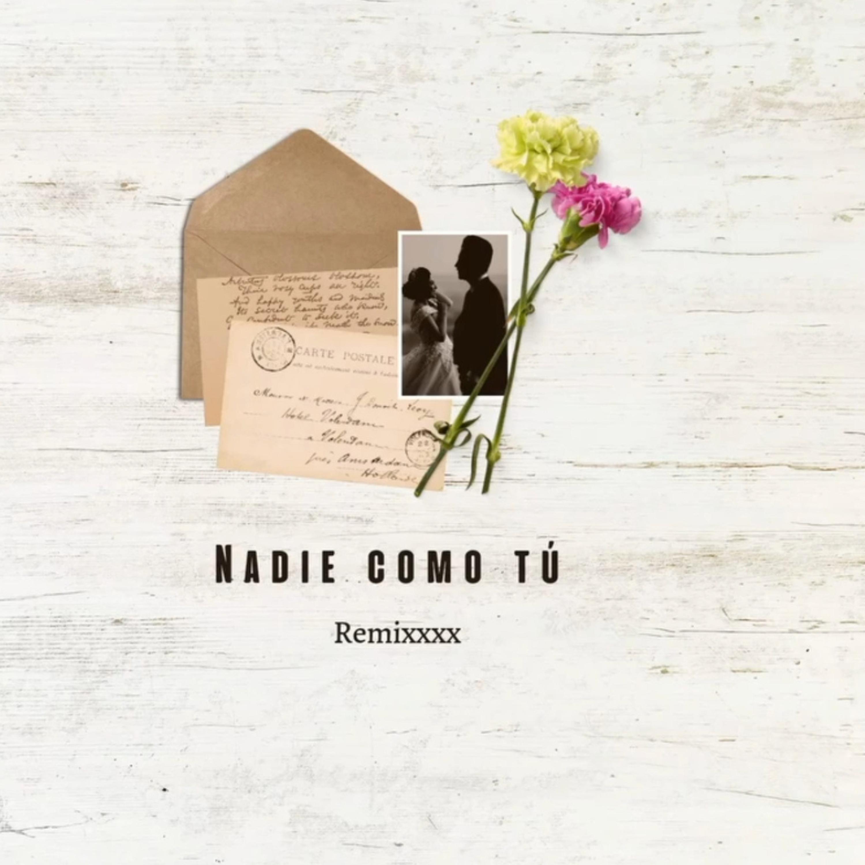 Постер альбома Nadie Como Tú Remixxxx