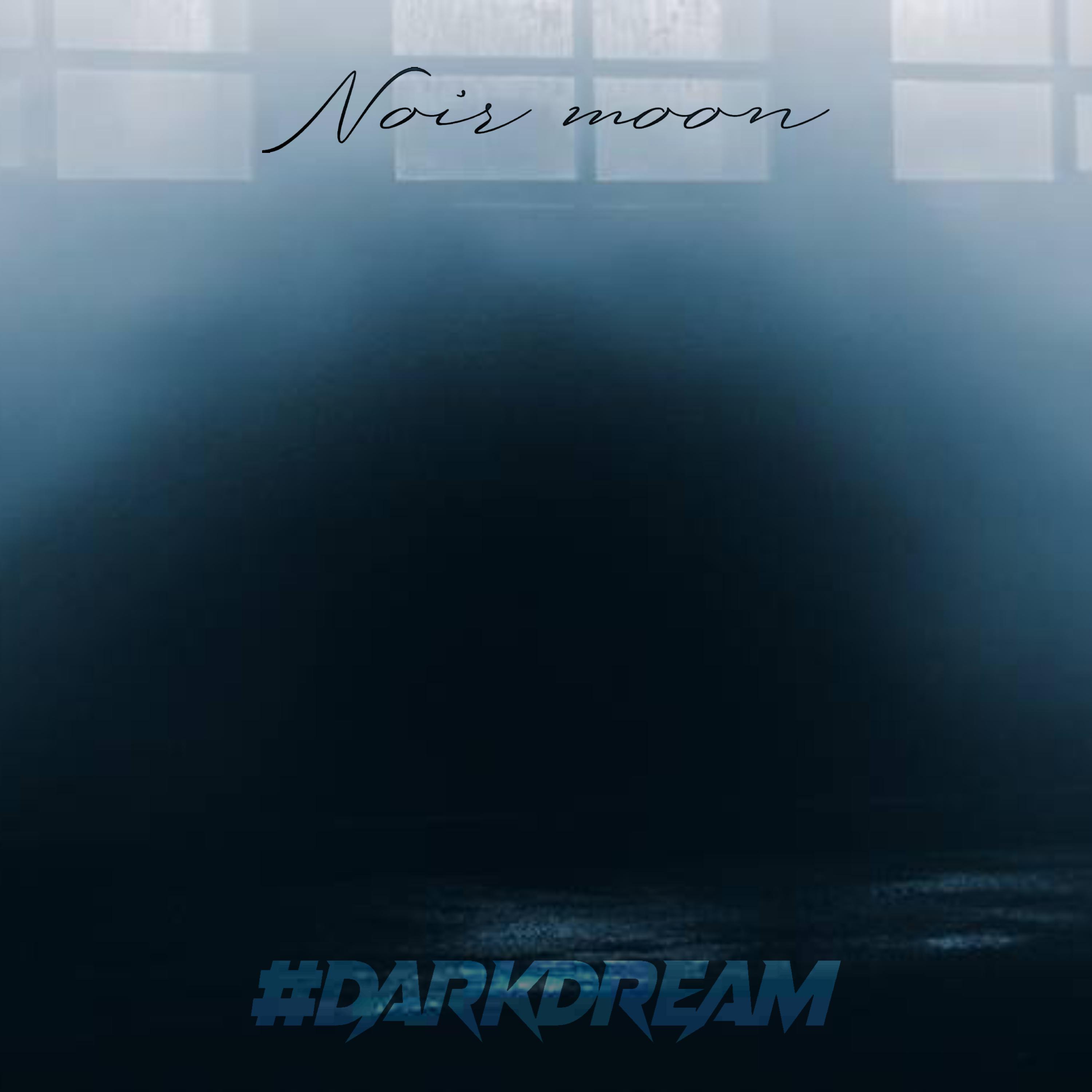 Постер альбома Noir Moon