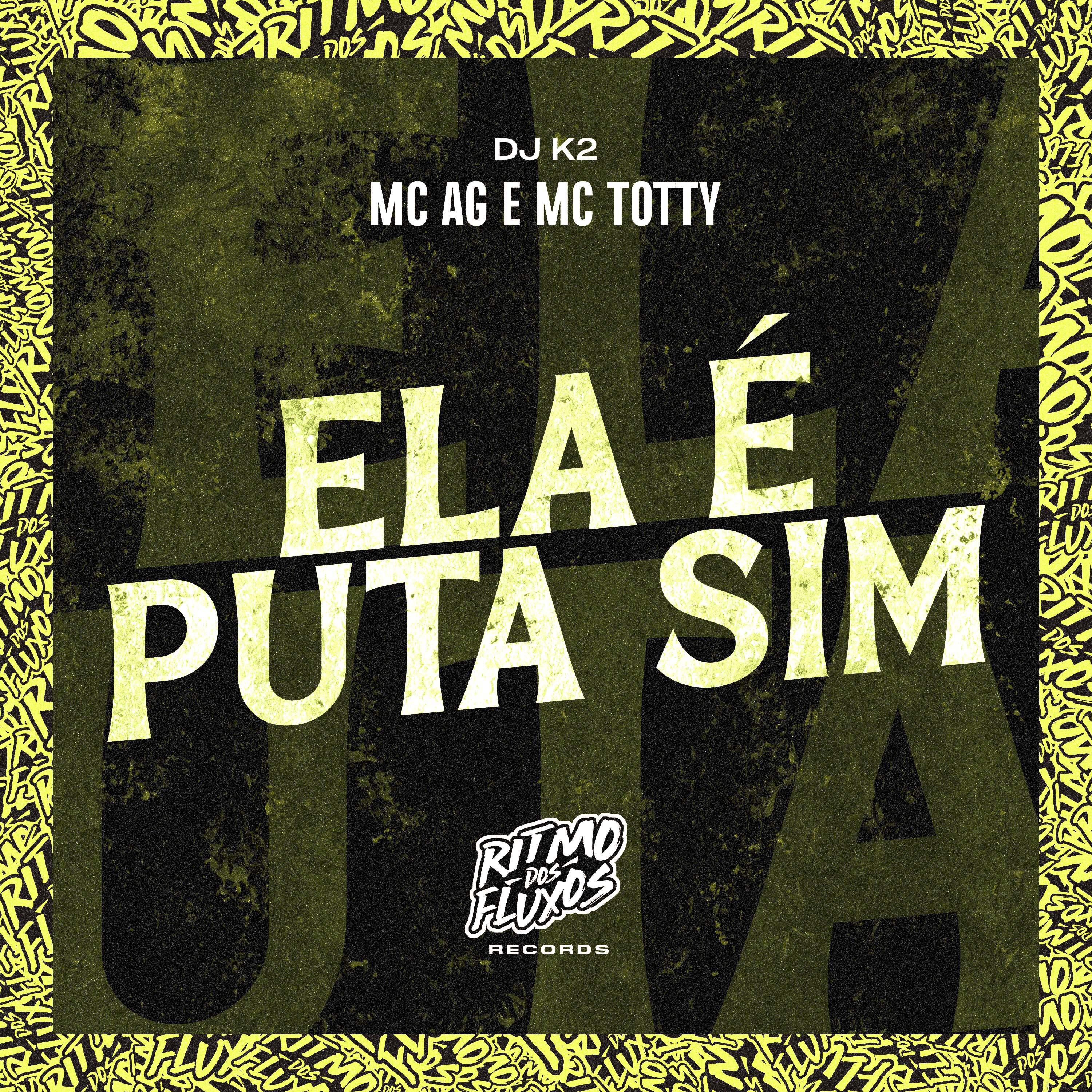 Постер альбома Ela É Puta Sim