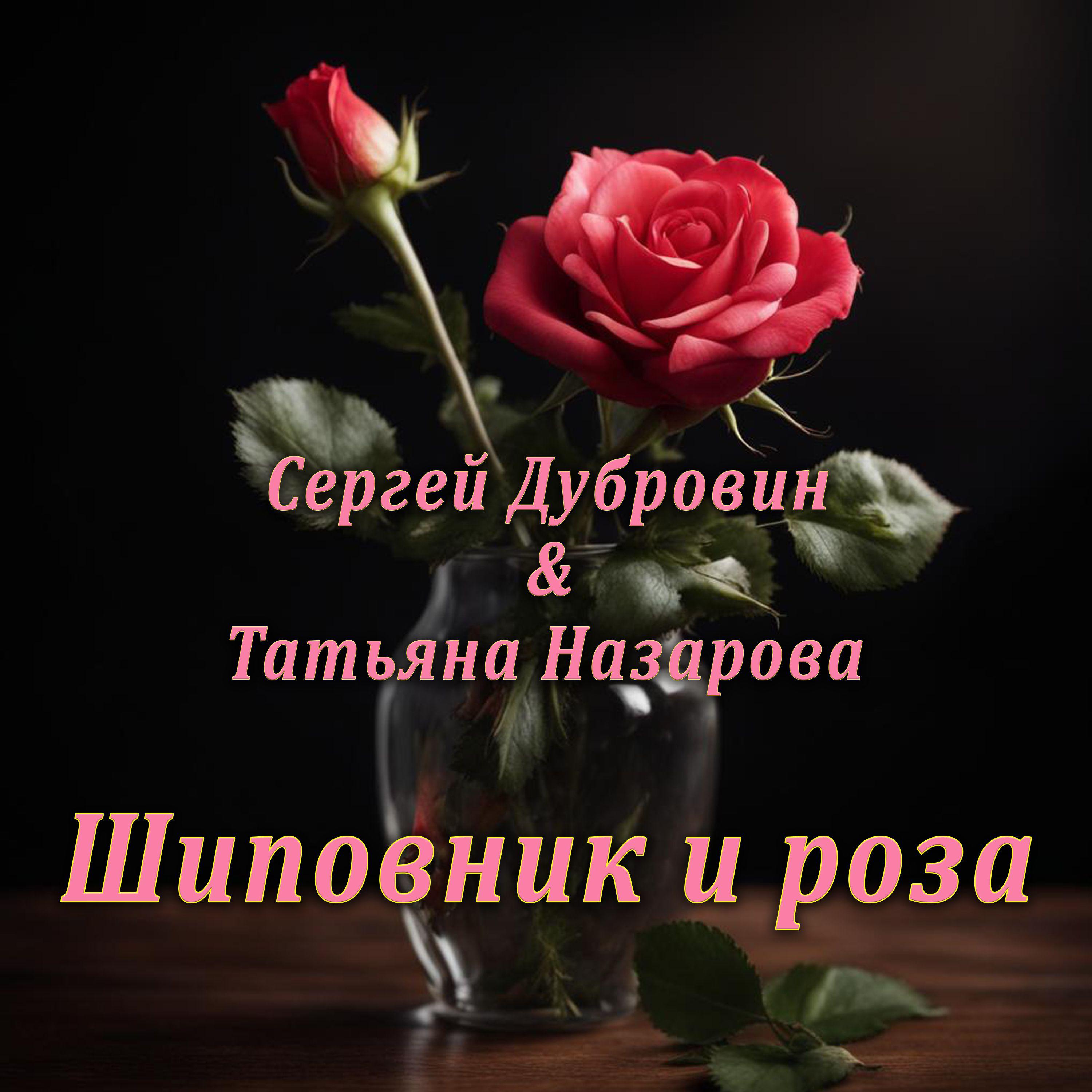 Постер альбома Шиповник и роза