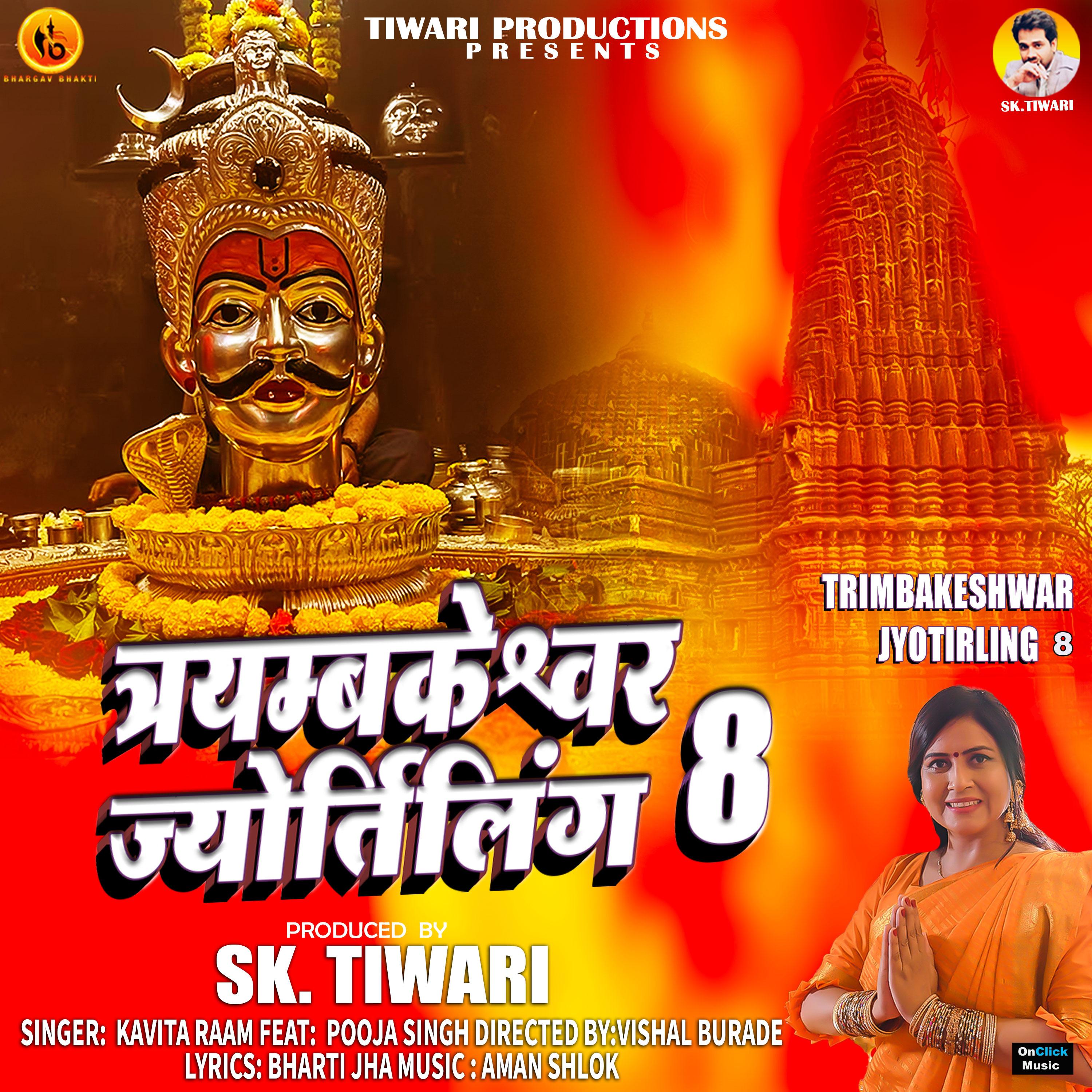 Постер альбома Trimbakeshwar Jyotirling, Pt. 8