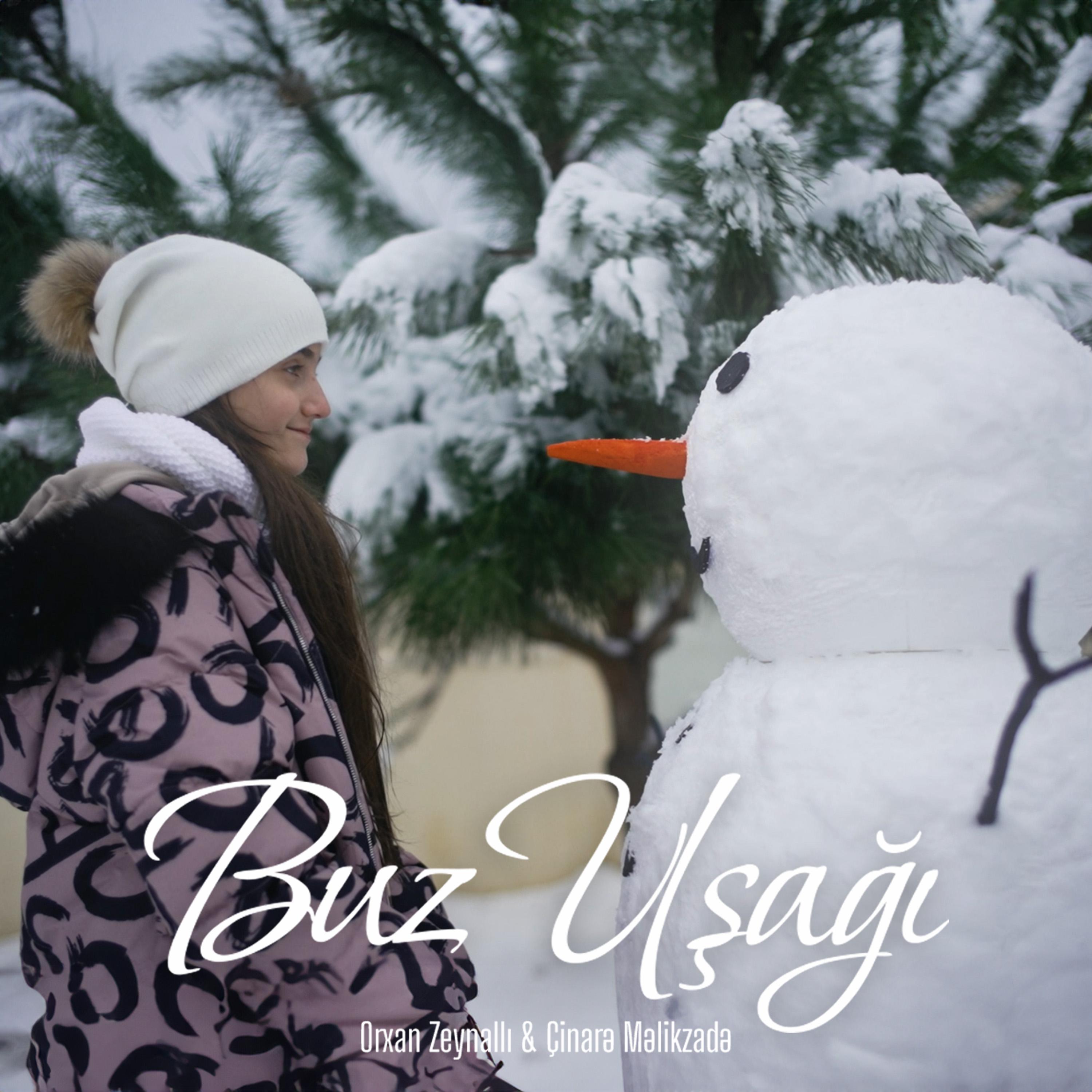 Постер альбома Buz Uşağı