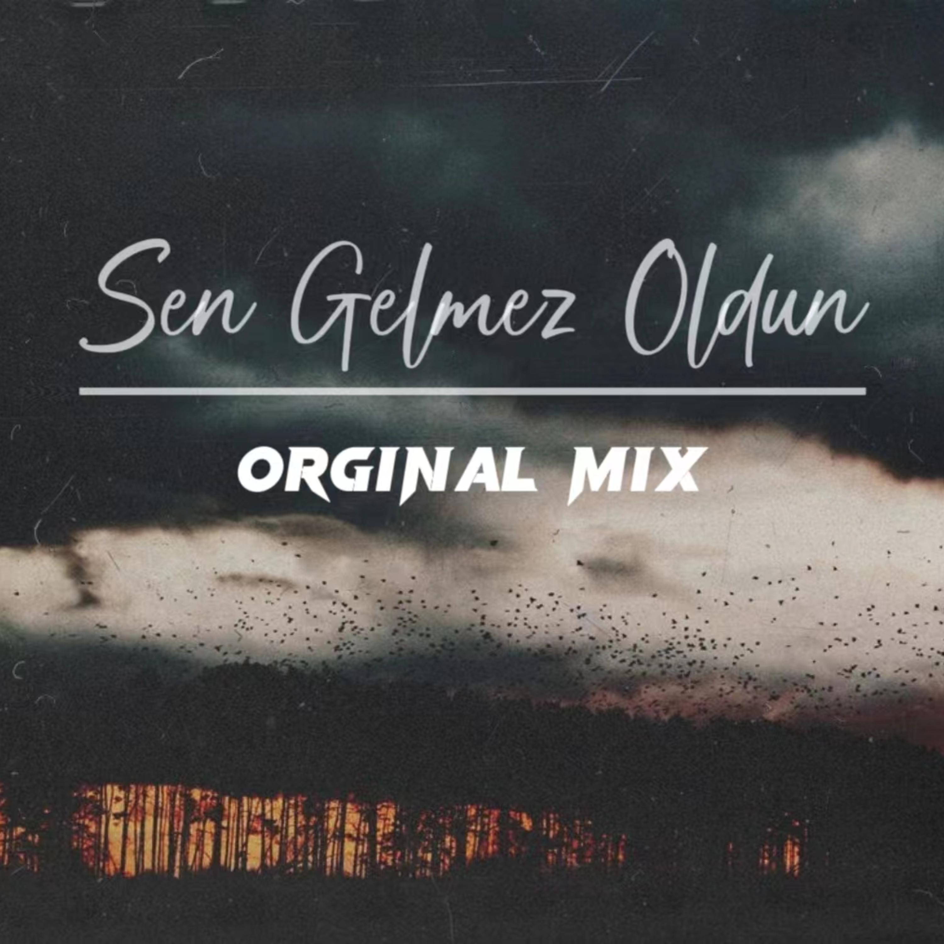 Постер альбома Sen Gelmez Oldun(Orginal Mix)
