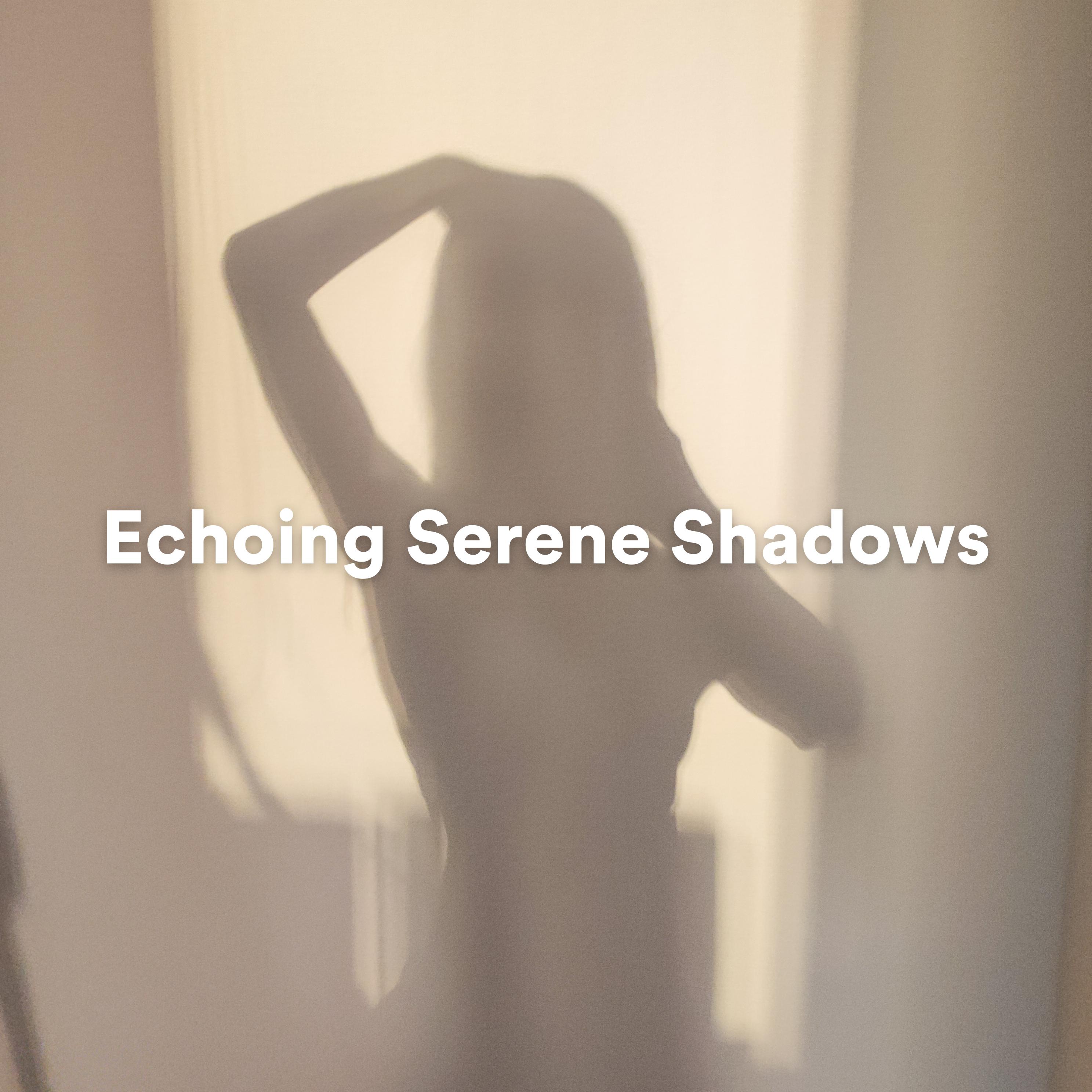 Постер альбома Echoing Serene Shadows
