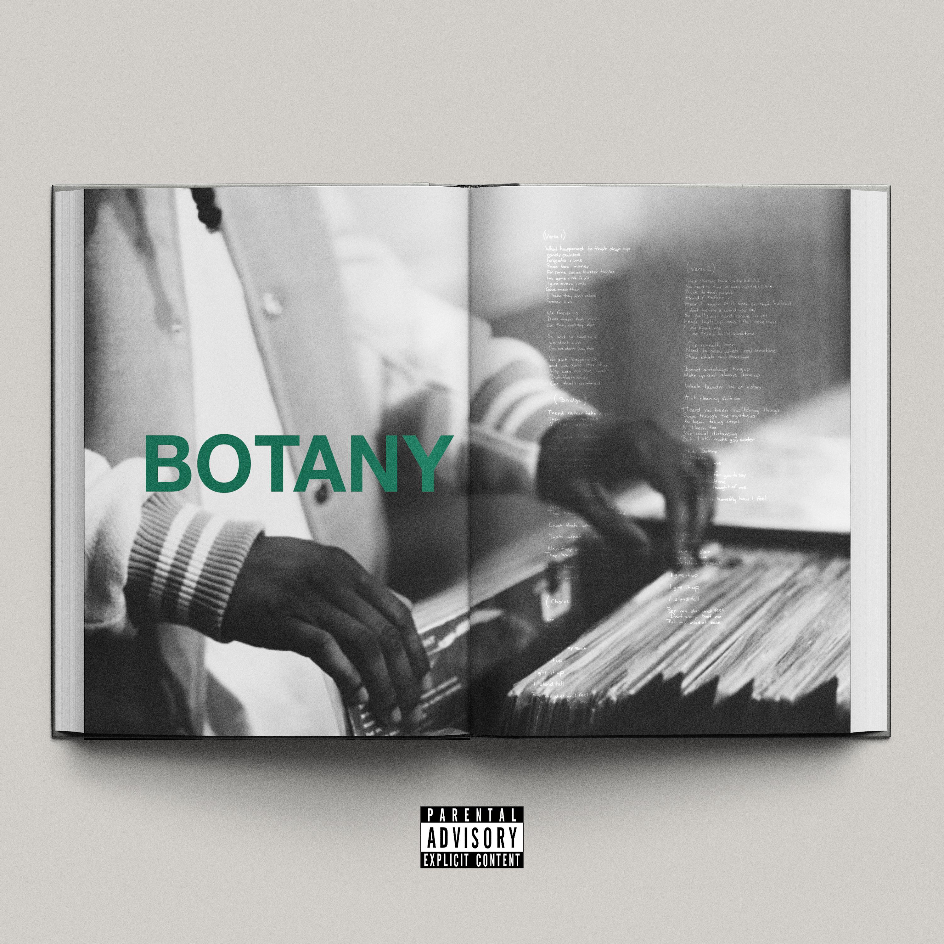 Постер альбома Botany