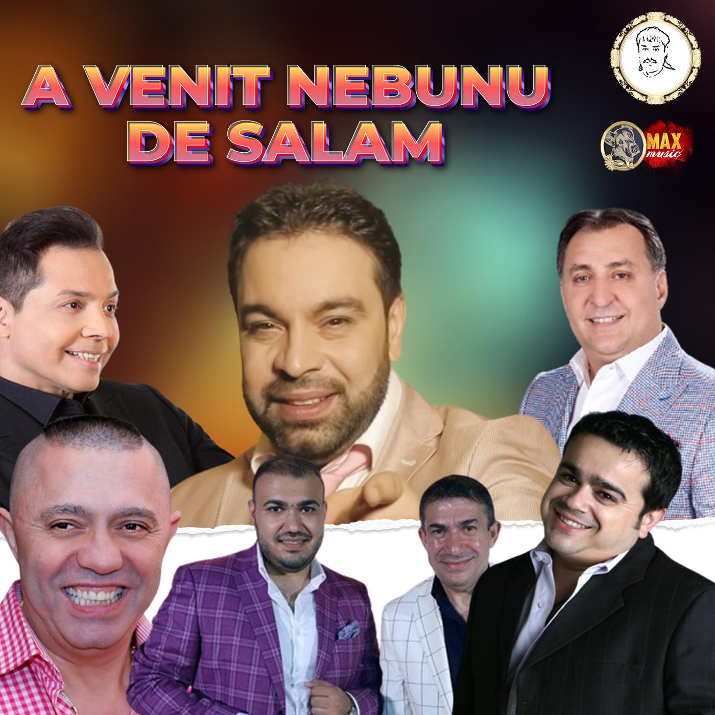 Постер альбома A VENIT NEBUNU DE SALAM