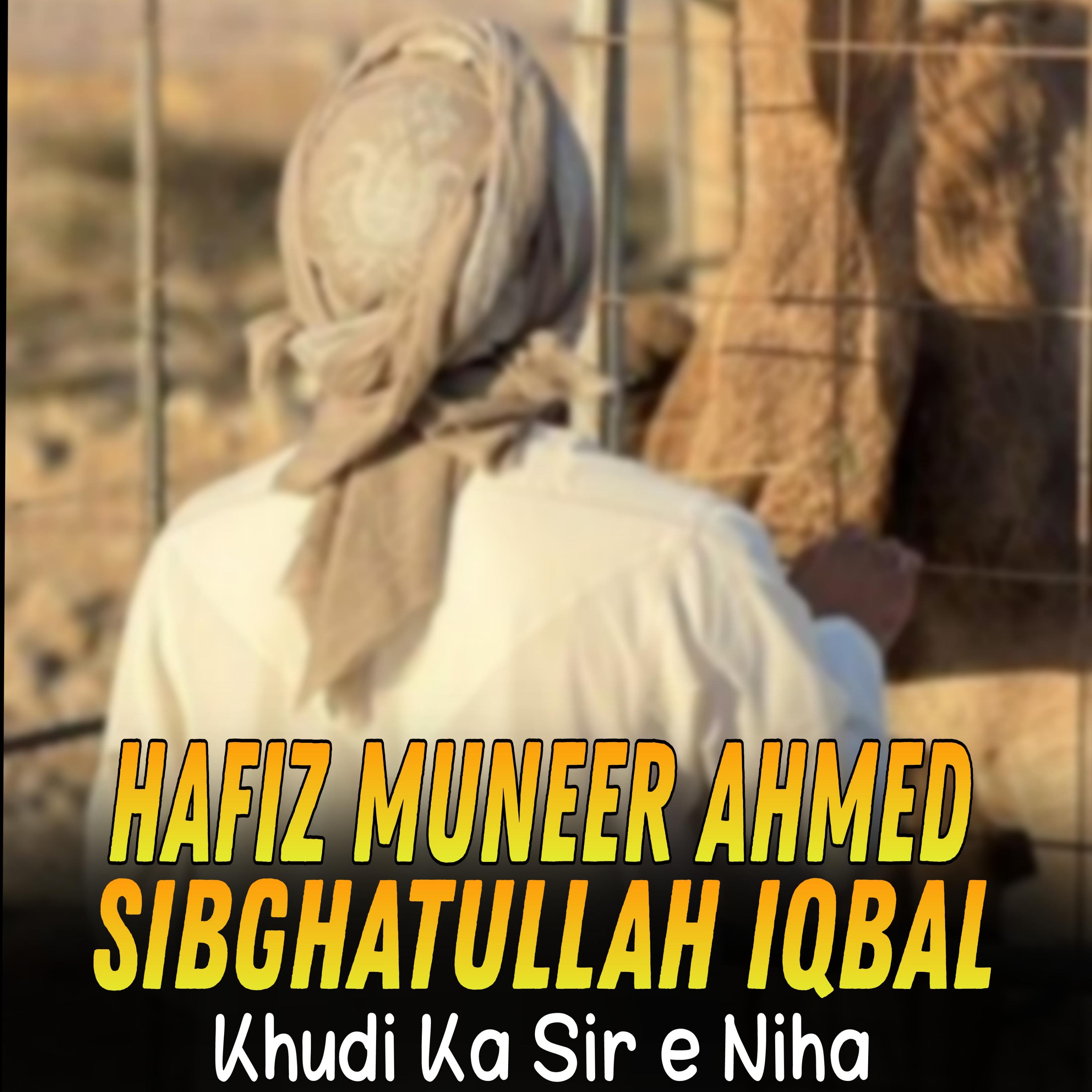 Постер альбома Khudi Ka Sir e Niha