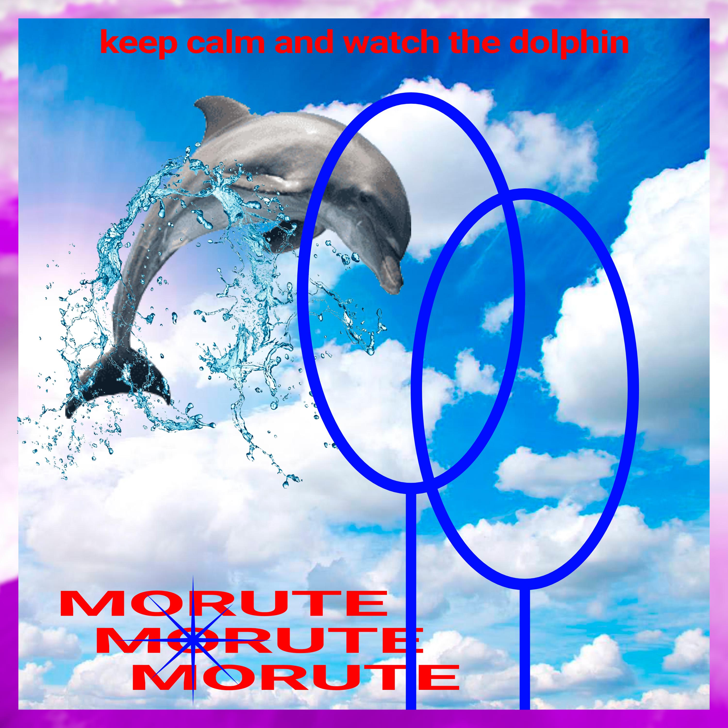 Постер альбома keep calm and watch the dolphin