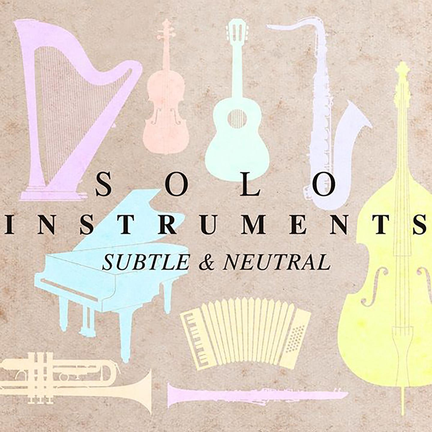 Постер альбома Solo Instruments - Subtle & Neutral