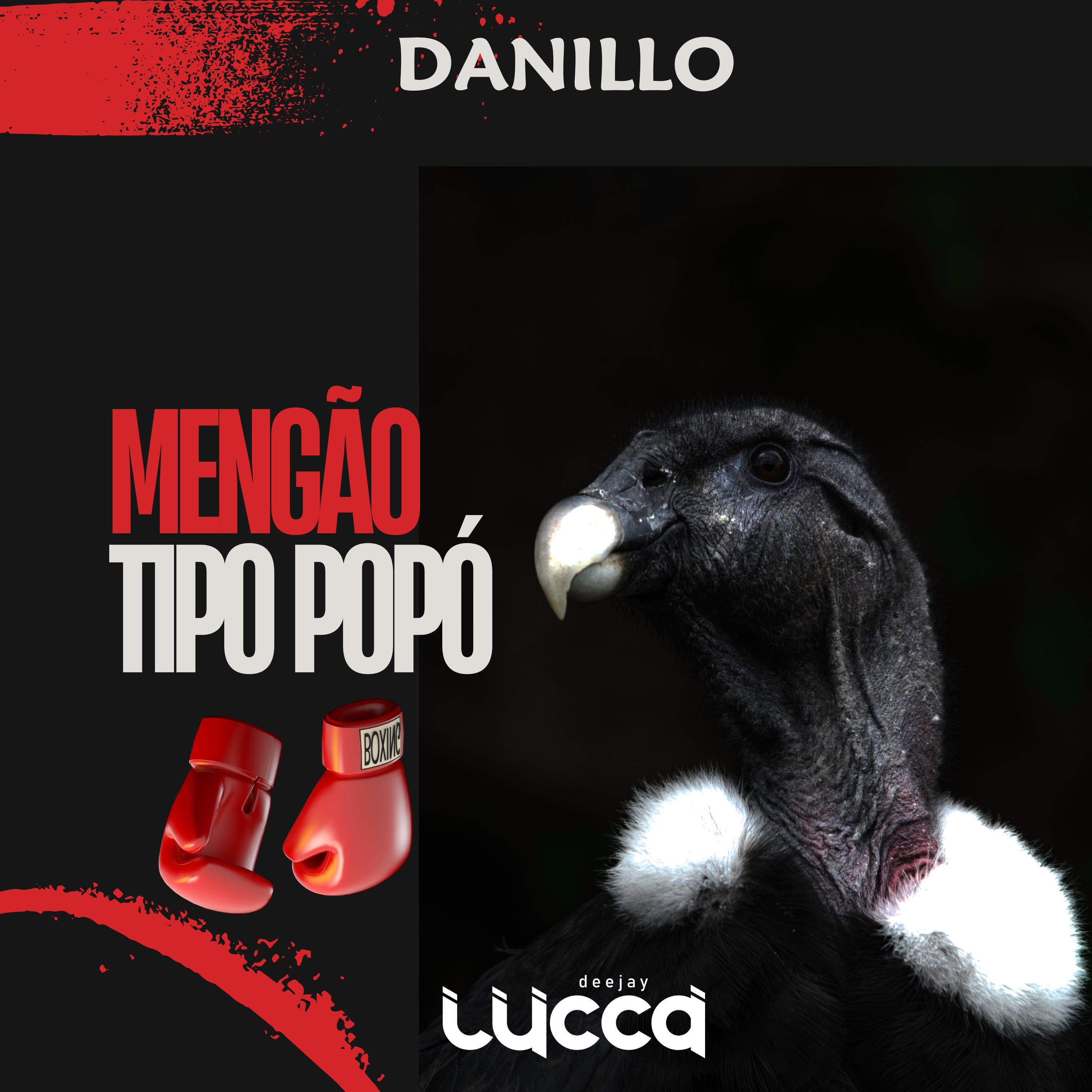 Постер альбома Mengão Tipo Popó