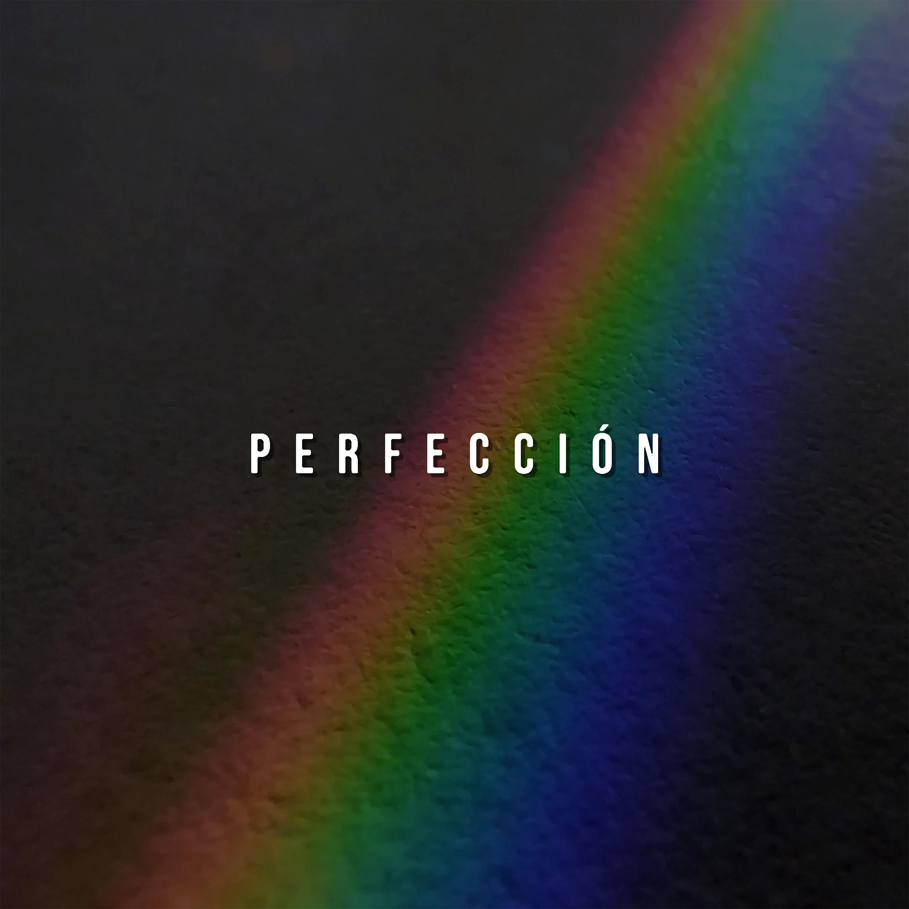 Постер альбома Perfección