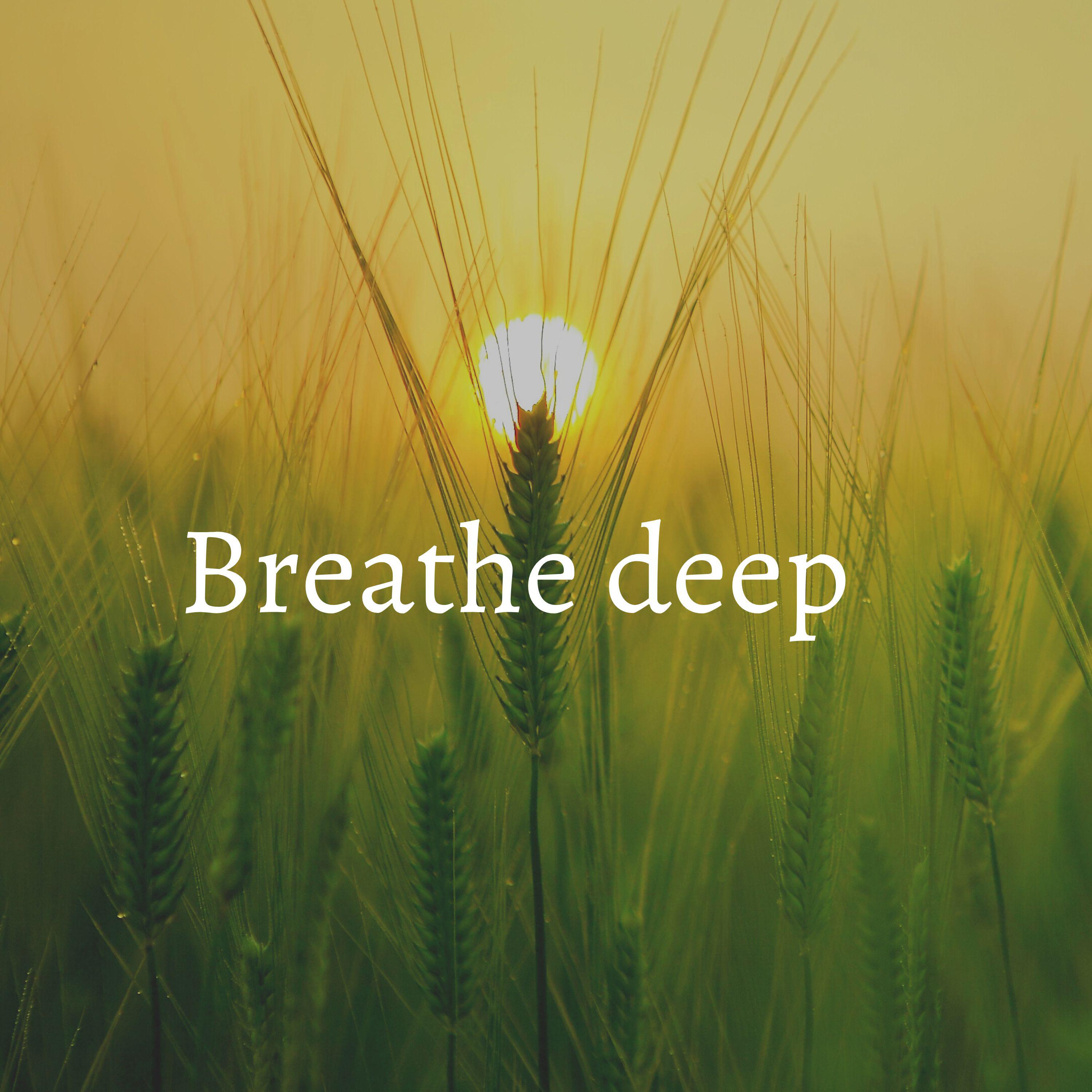 Постер альбома Breathe deep