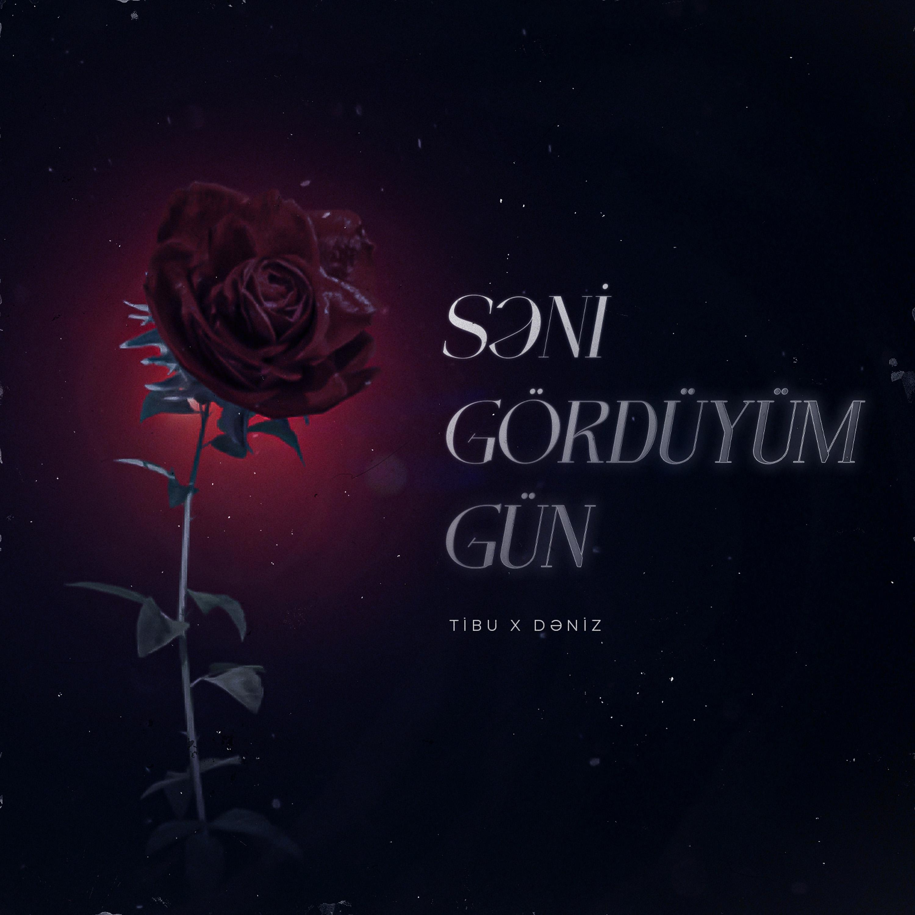 Постер альбома Səni Gördüyüm Gün