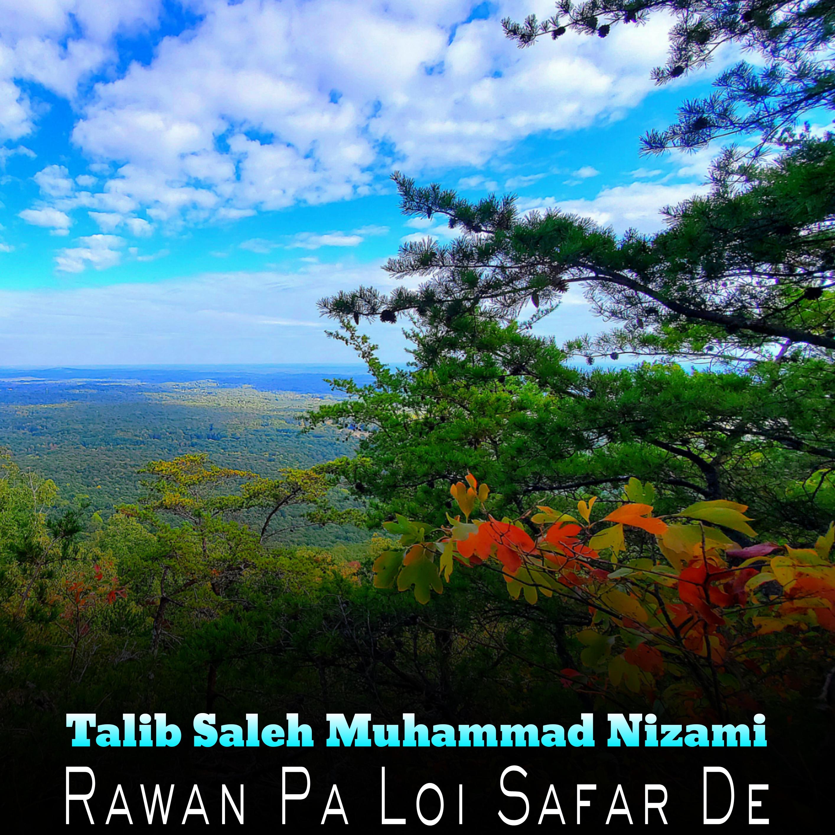 Постер альбома Rawan Pa Loi Safar De