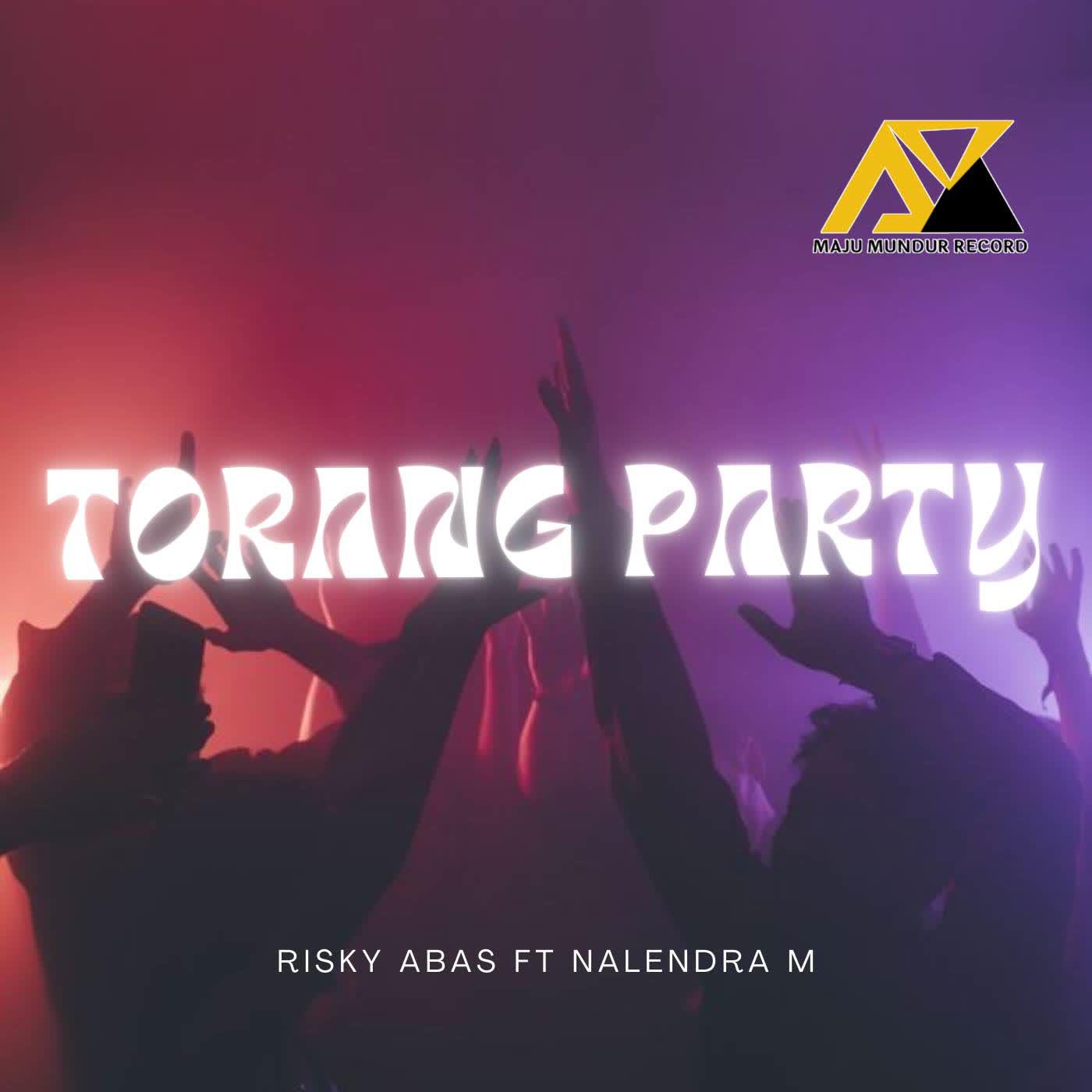 Постер альбома Torang Party ( Disko Tanah )