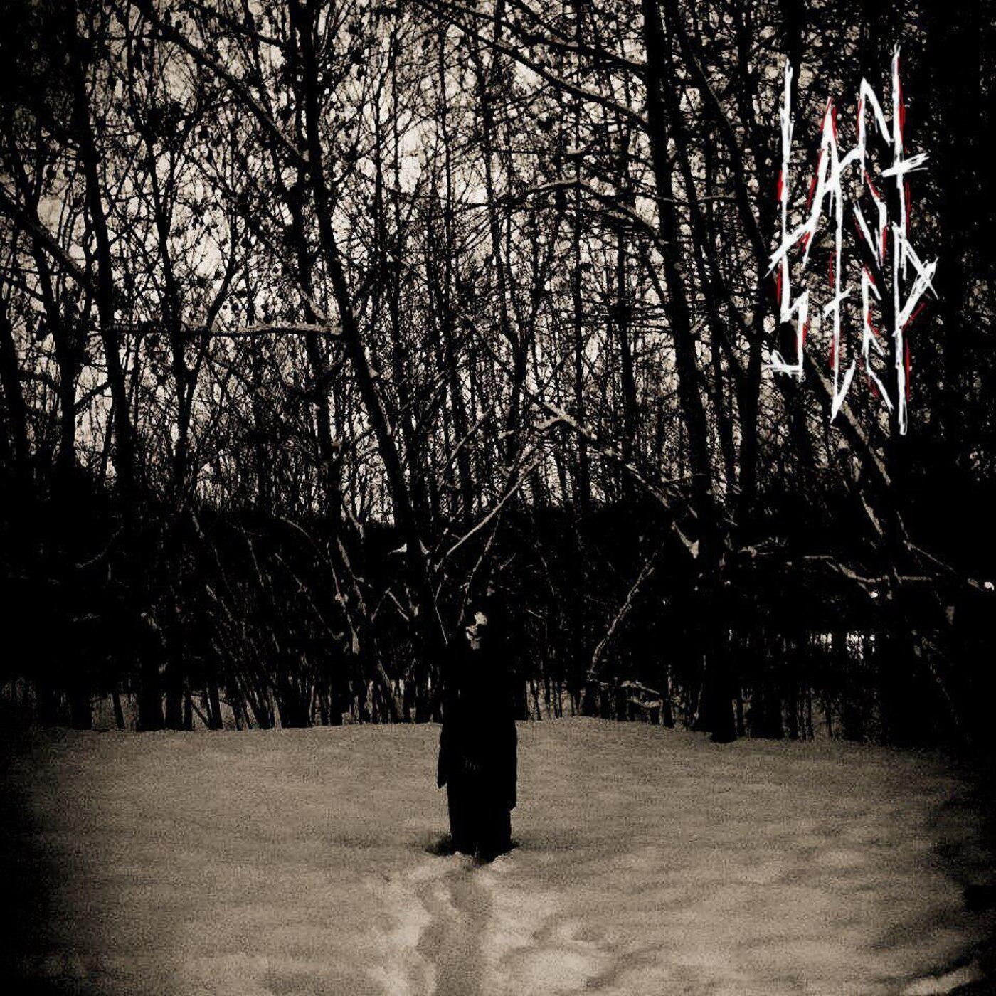 Постер альбома Dark Dreams in the Forest