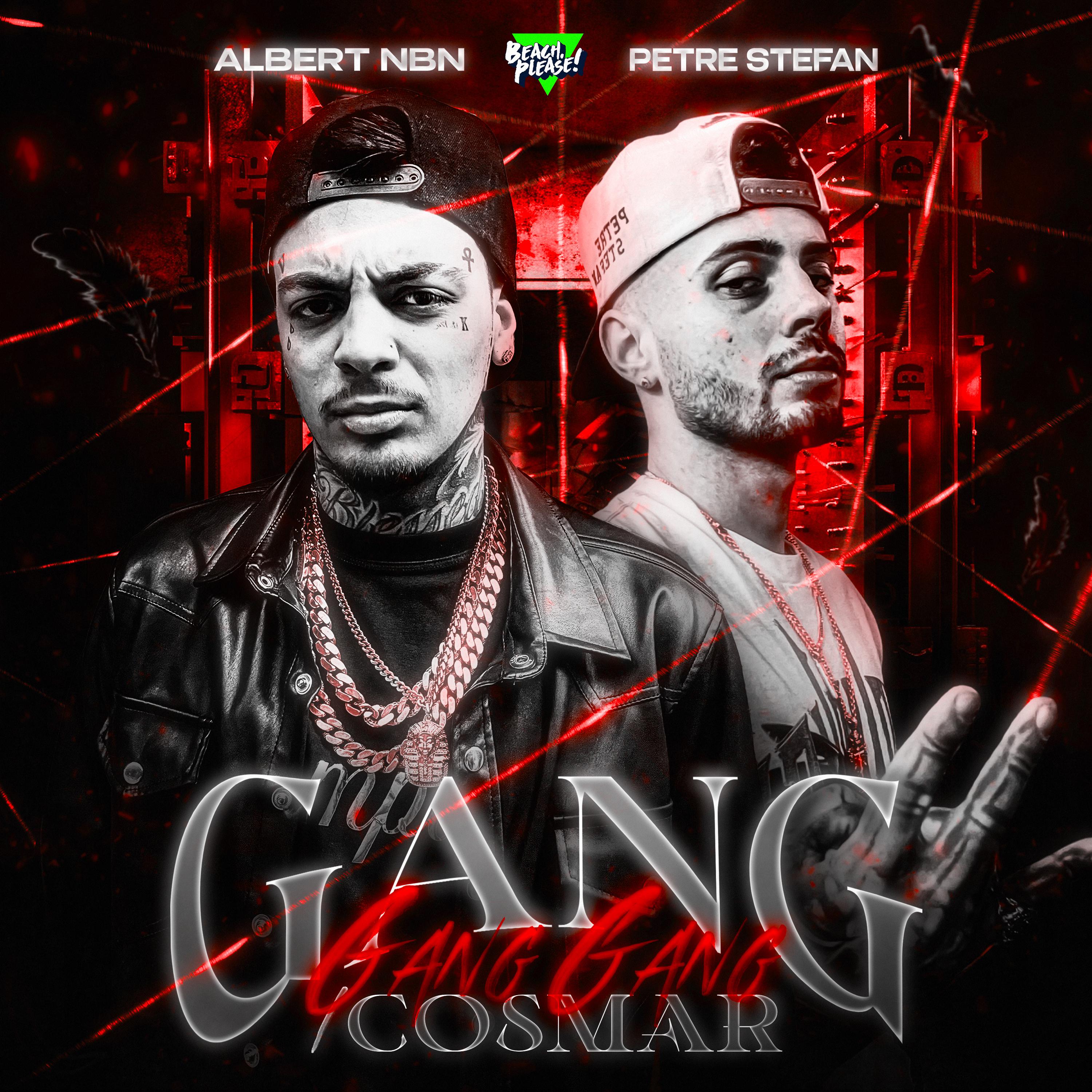Постер альбома GANG GANG GANG / Cosmar