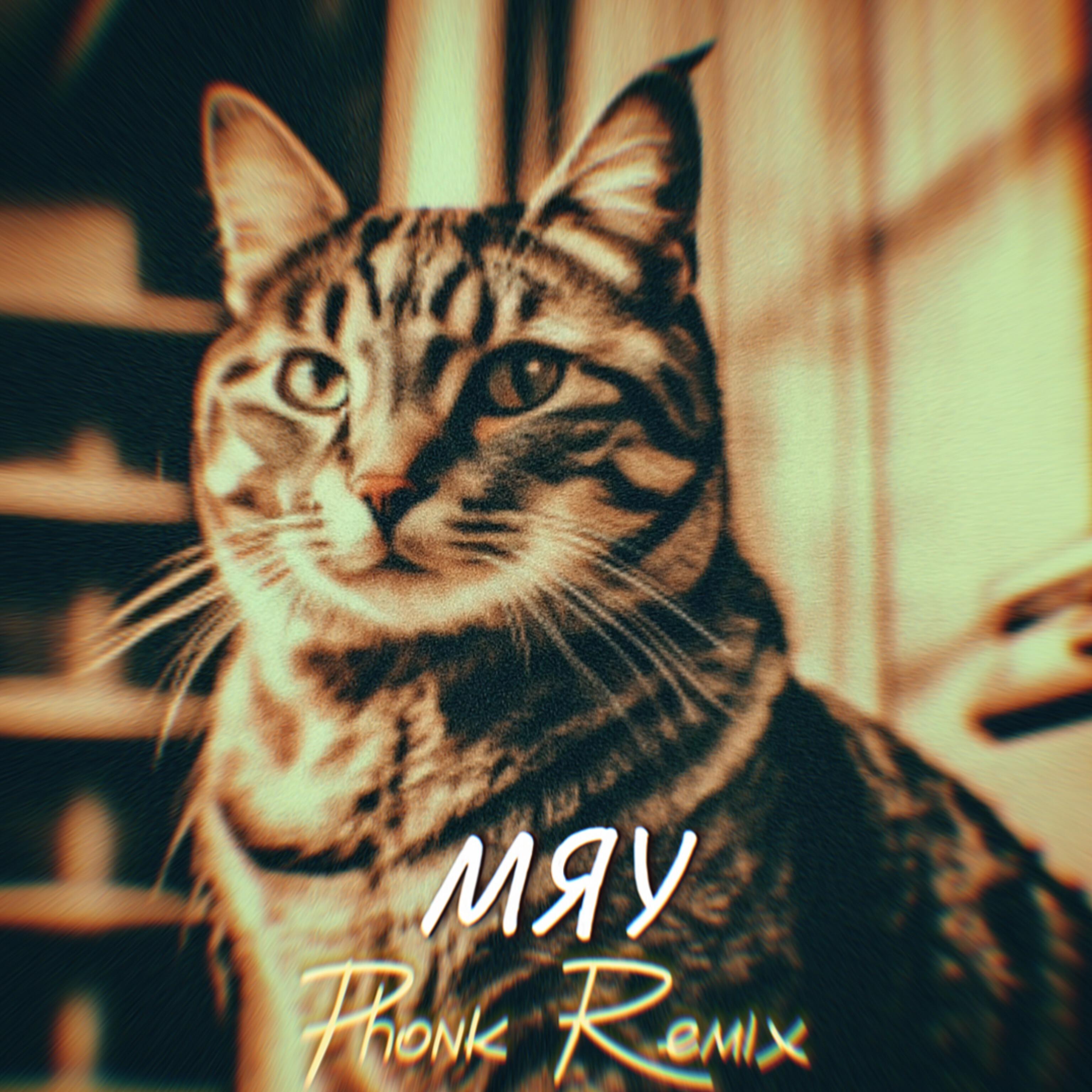 Постер альбома Мяу (Phonk Remix)