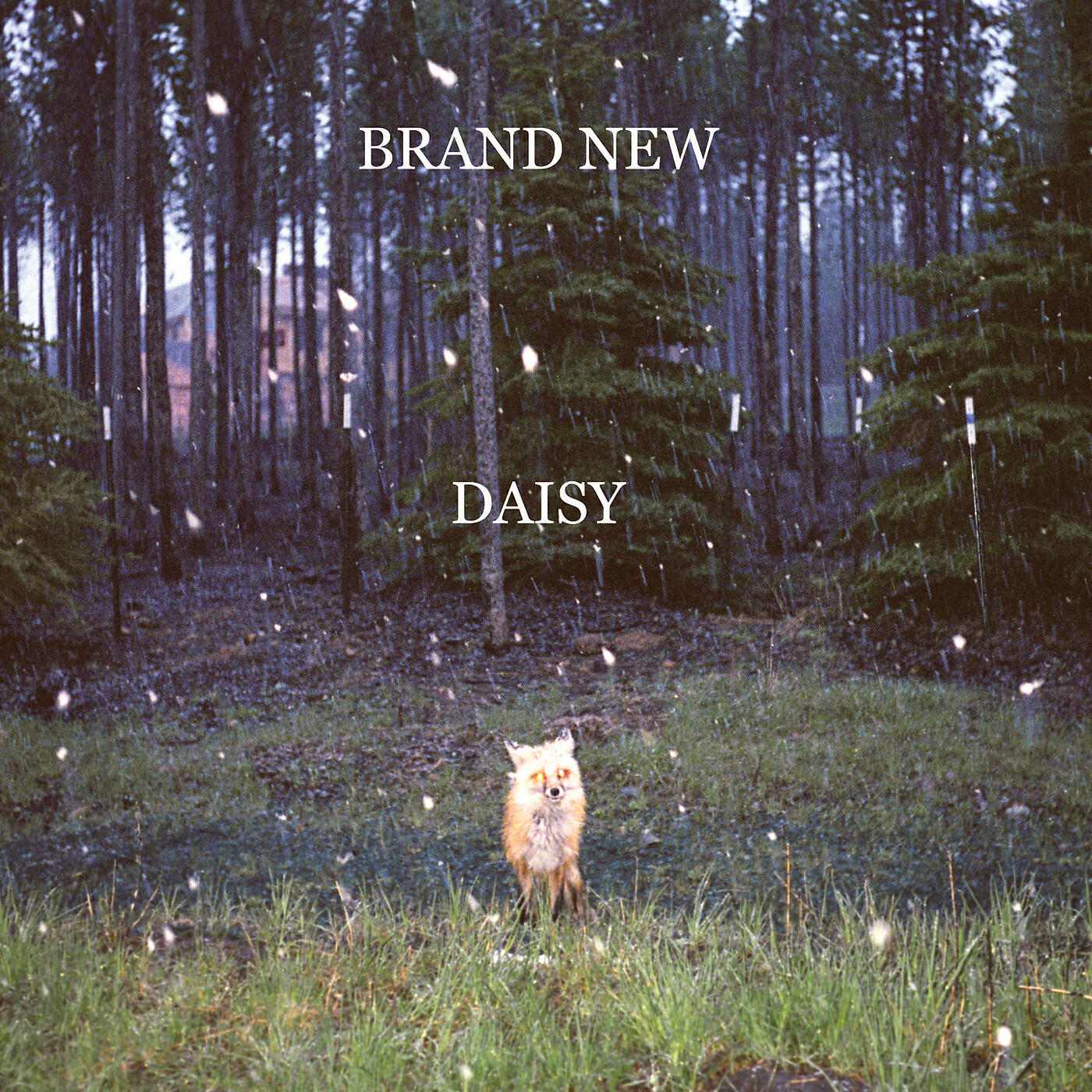 Brand New - Gasoline