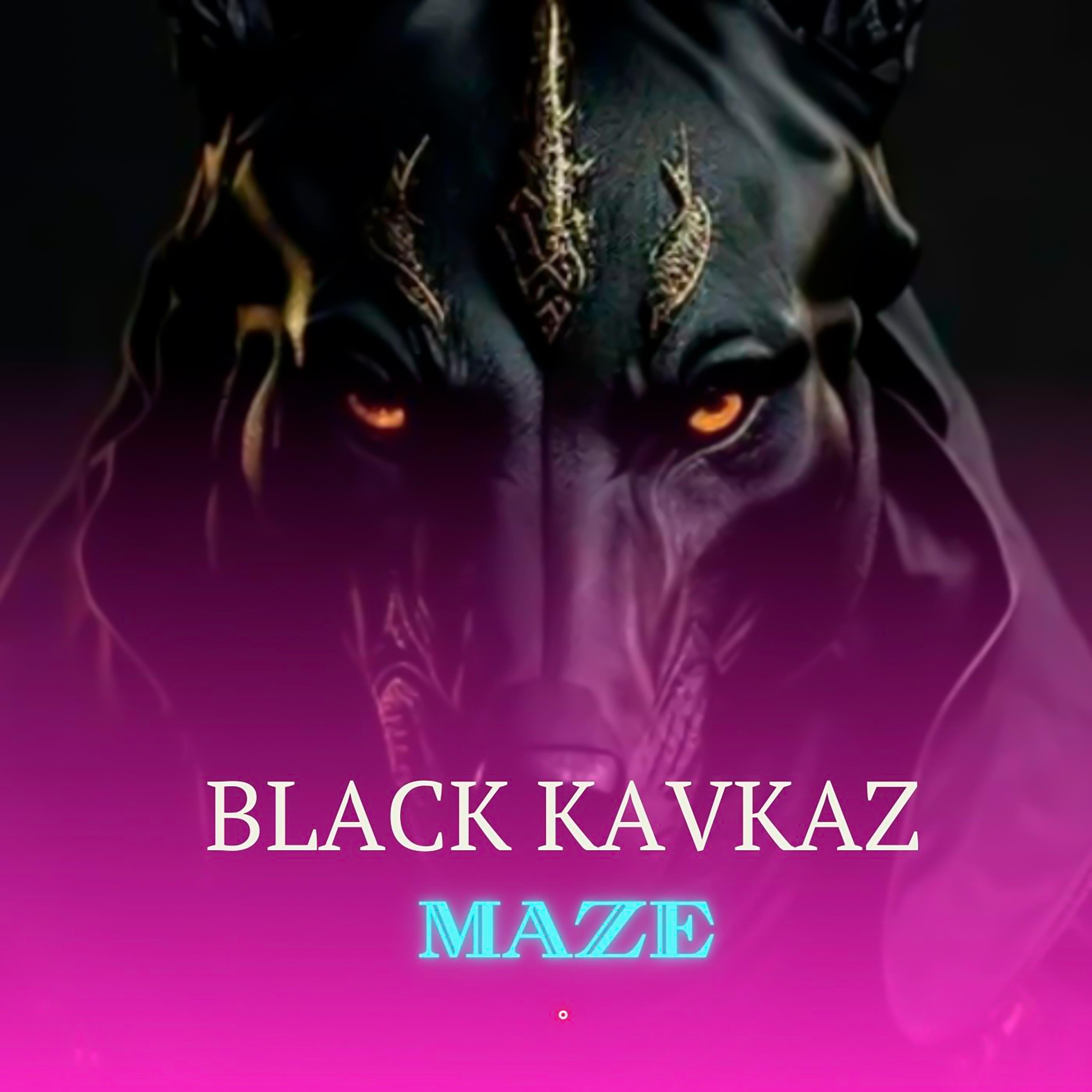 Постер альбома Maze