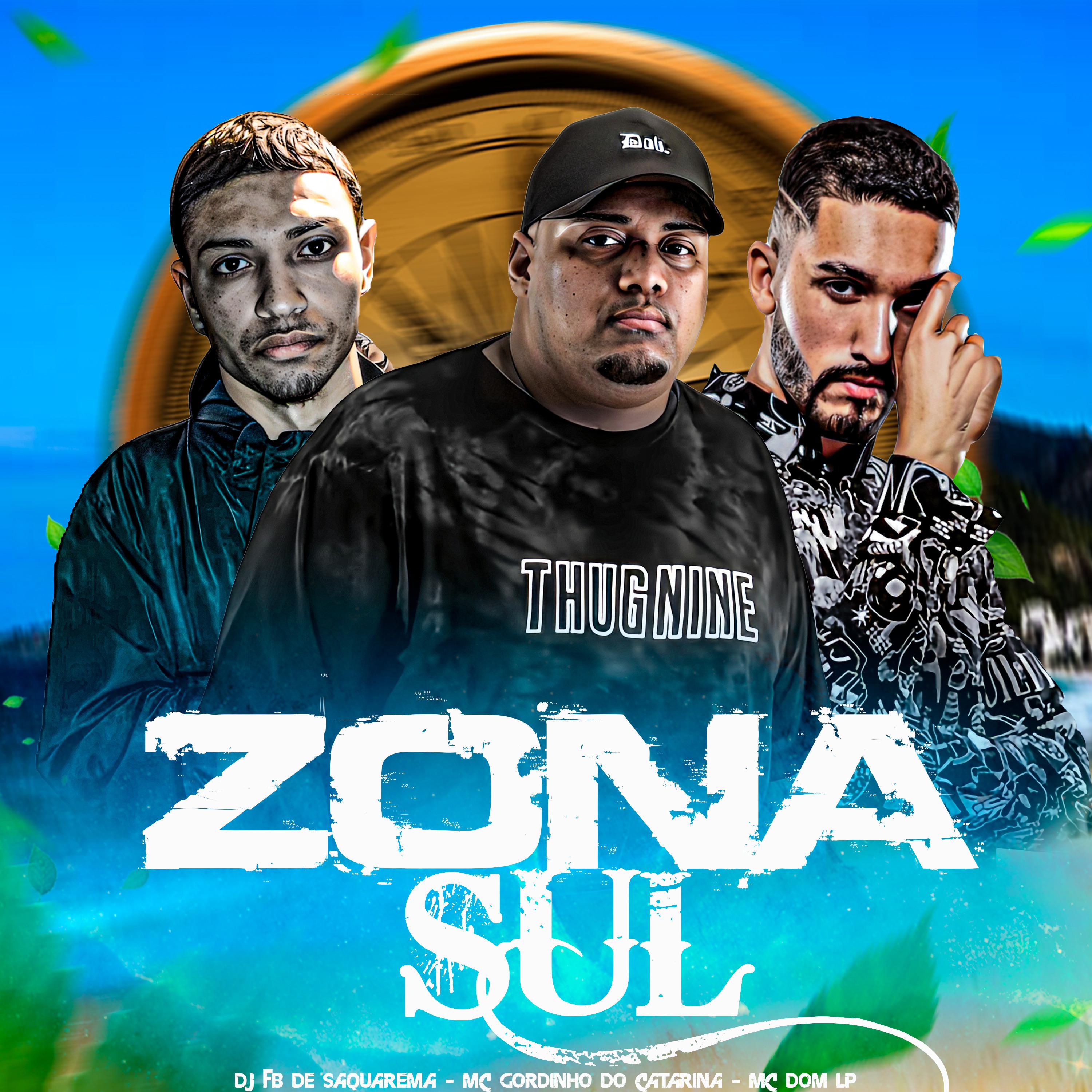 Постер альбома Zona Sul