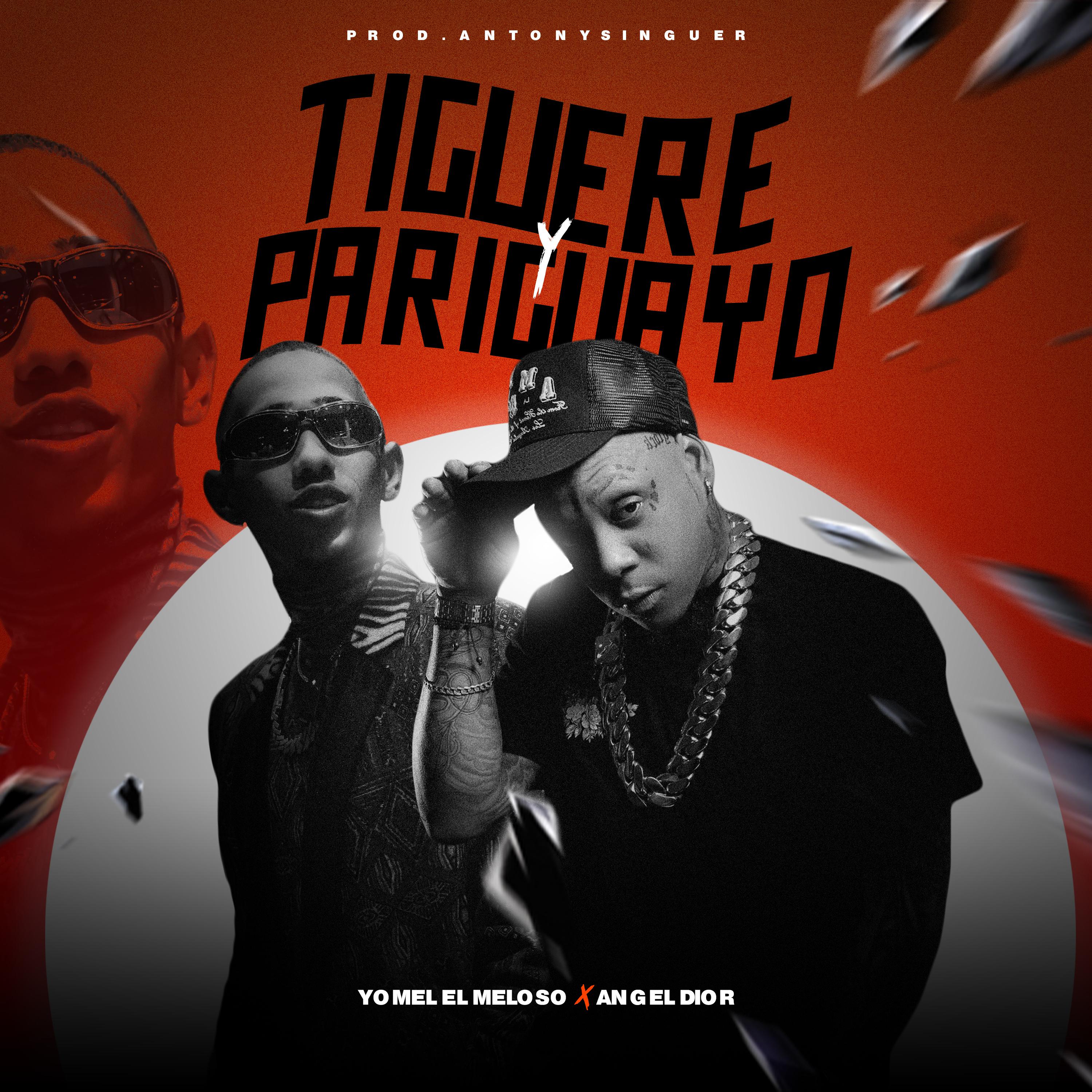 Постер альбома Tiguere y Pariguayo