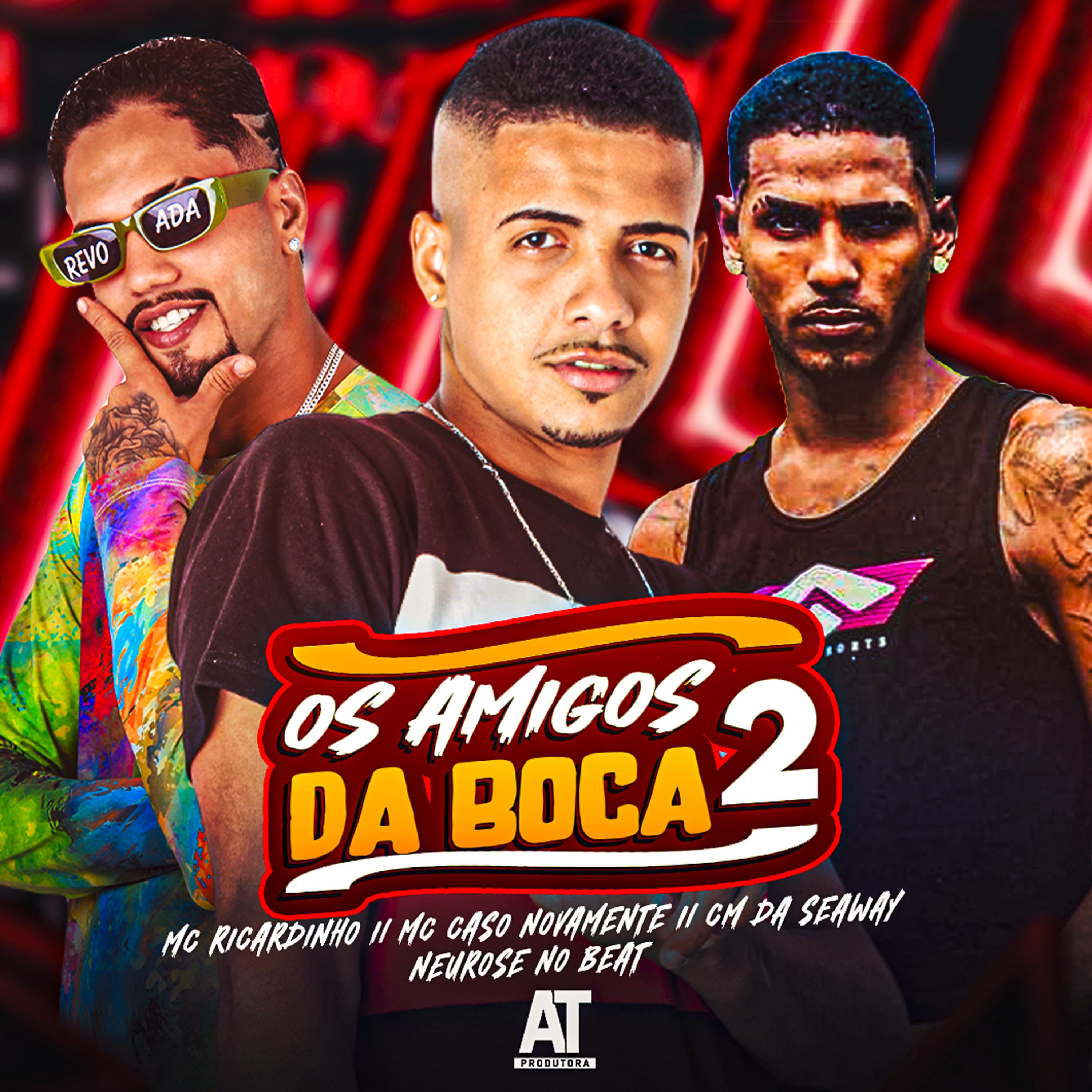 Постер альбома Os Amigos da Boca 2