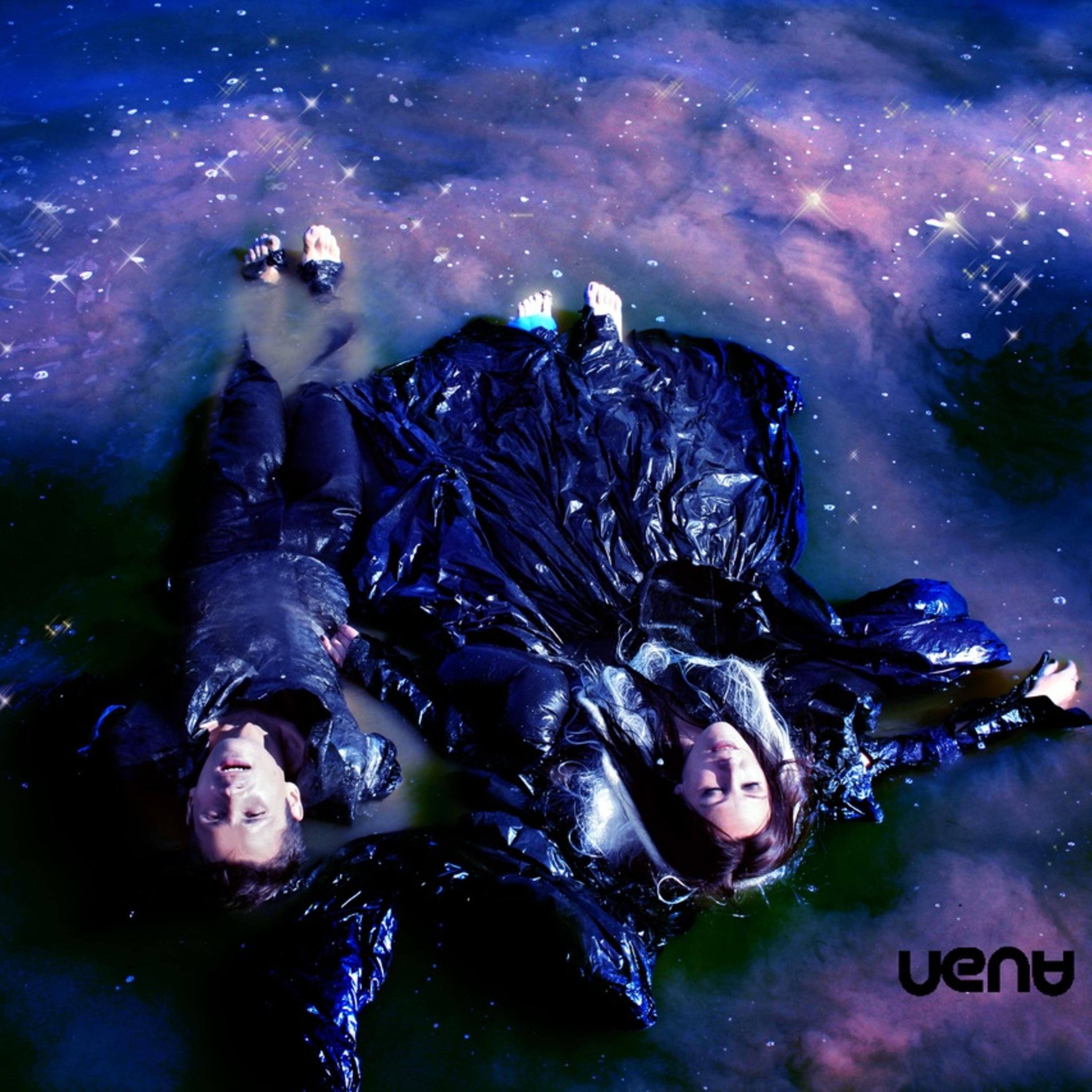 Постер альбома VENA