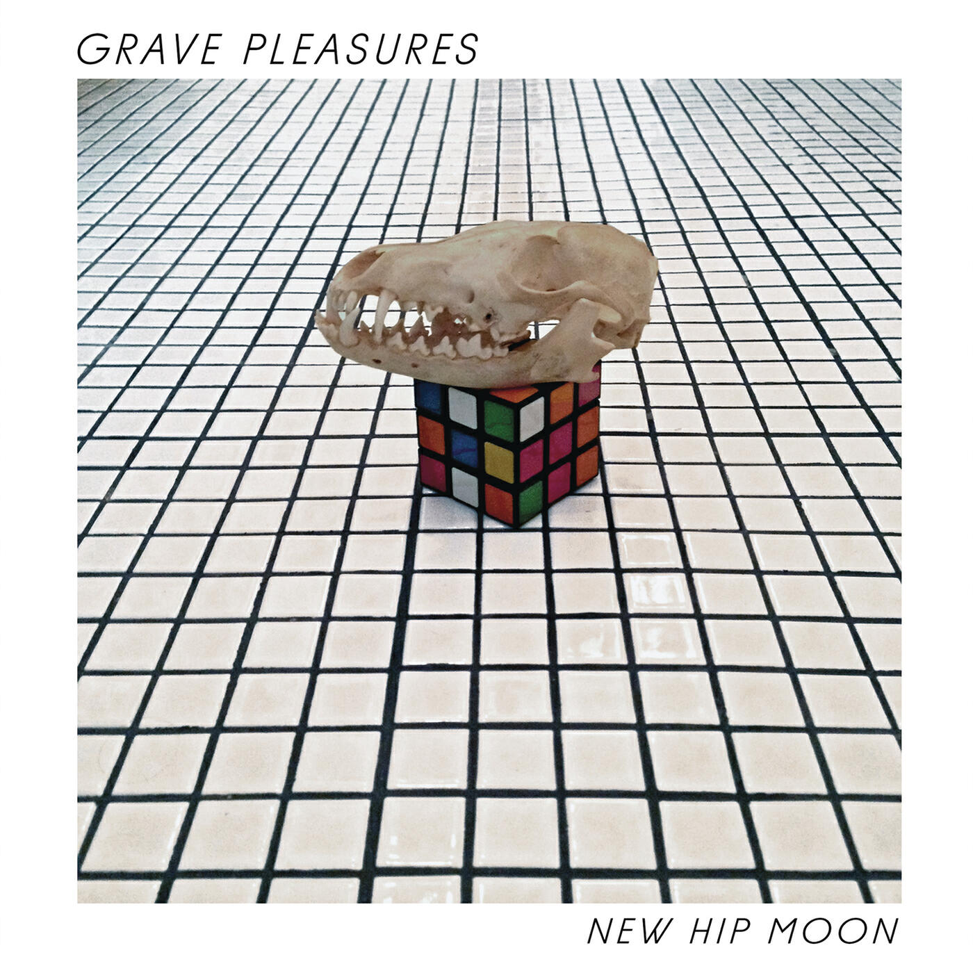 Постер альбома New Hip Moon