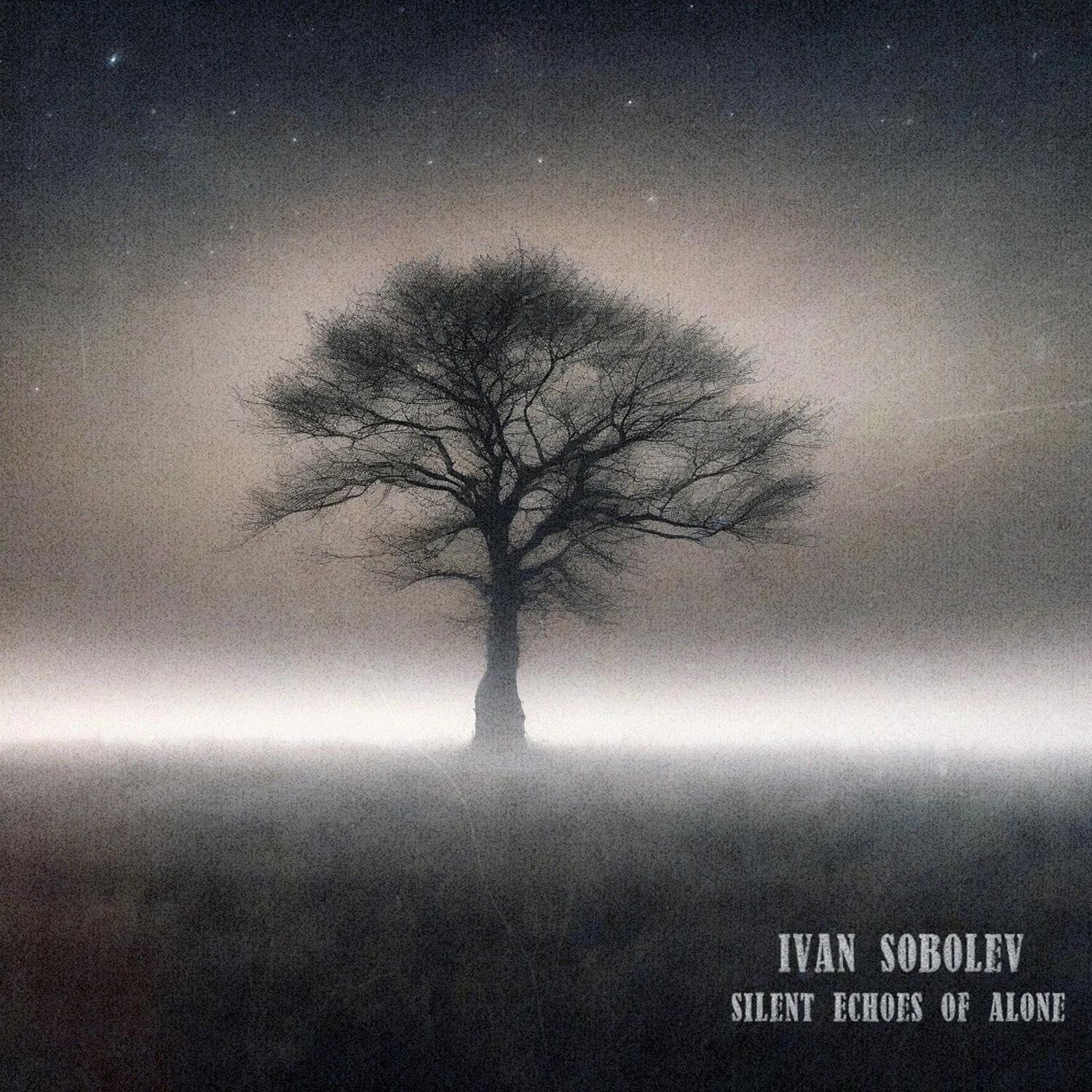 Постер альбома Silent Echoes of Alone