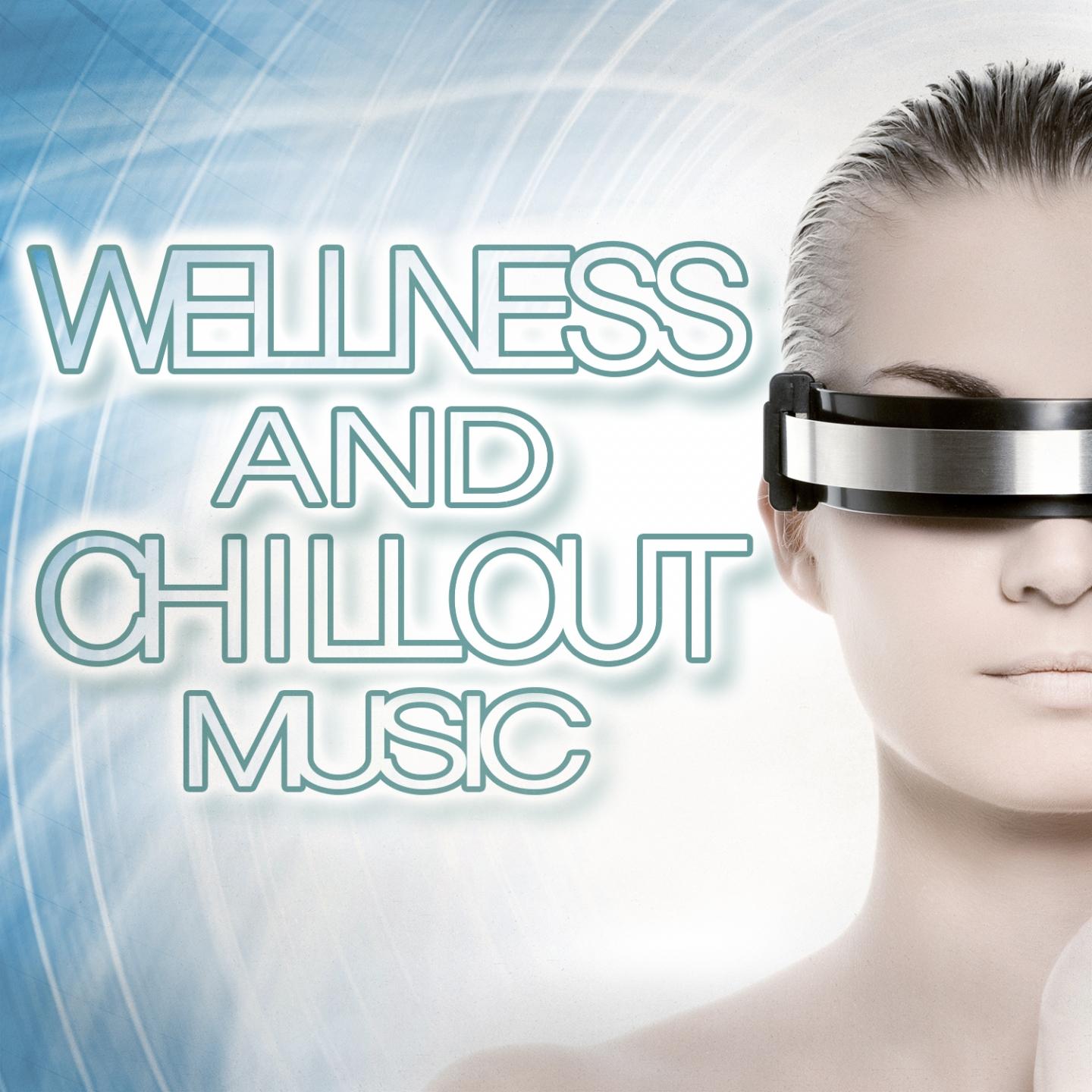 Постер альбома Wellness and Chillout Music