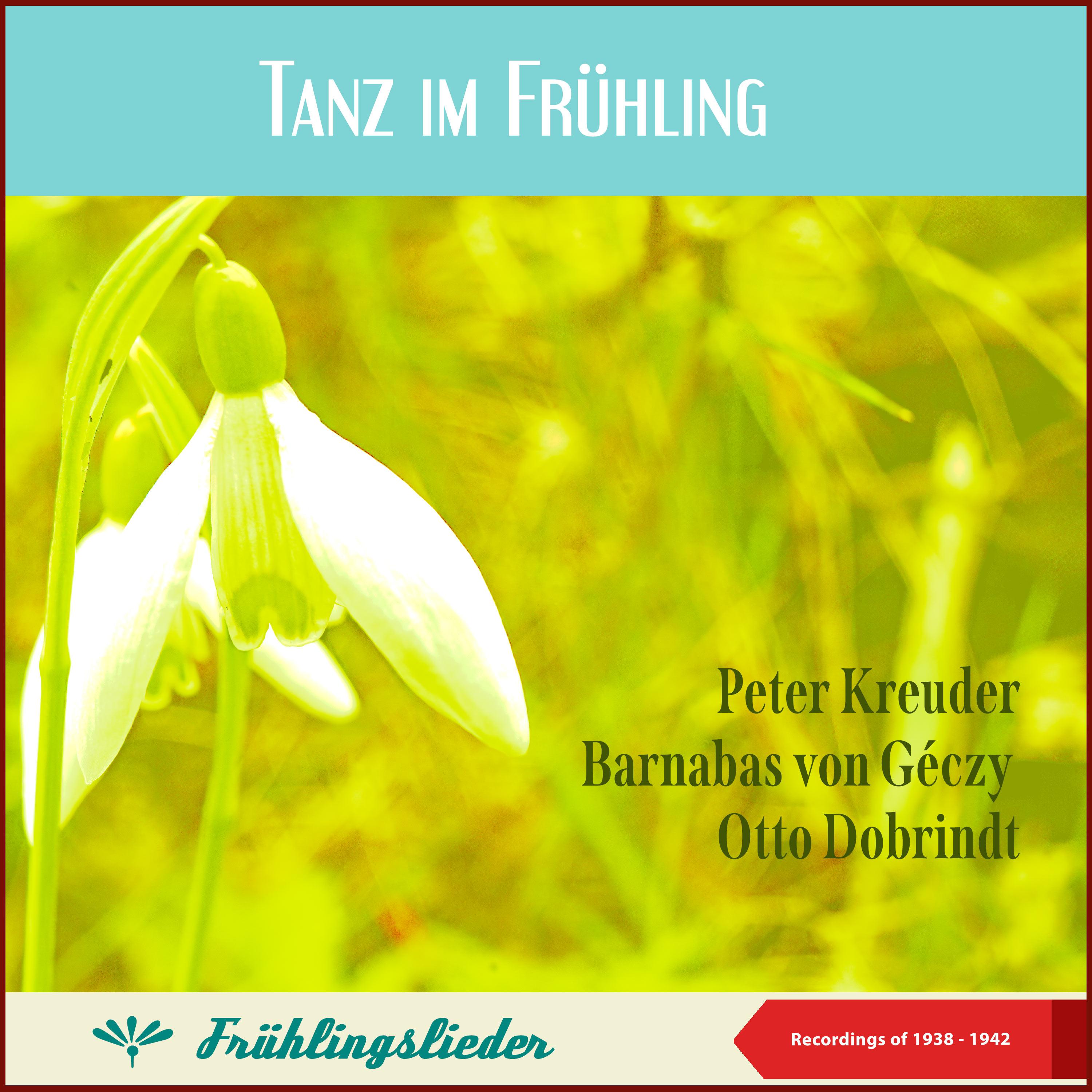Постер альбома Tanz im Frühling (Peter Kreuder - Barnabas von Géczy - Otto Dobrindt)