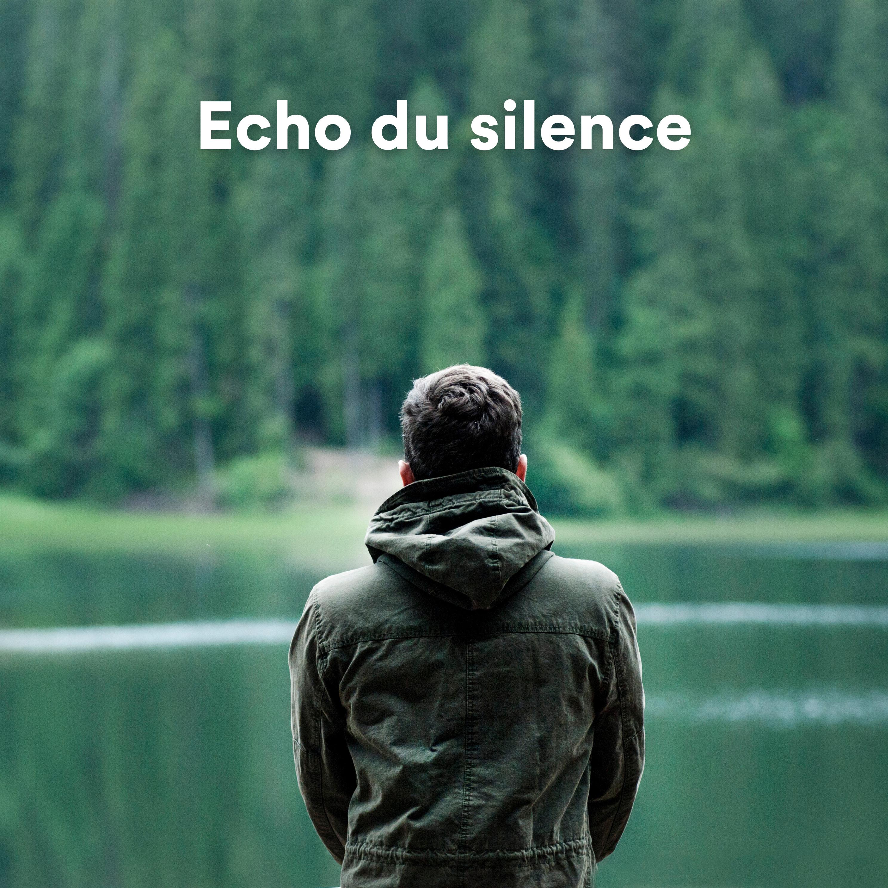 Постер альбома Écho du Silence