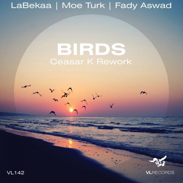 Labekaa - Birds (Ceasar K Rework)
