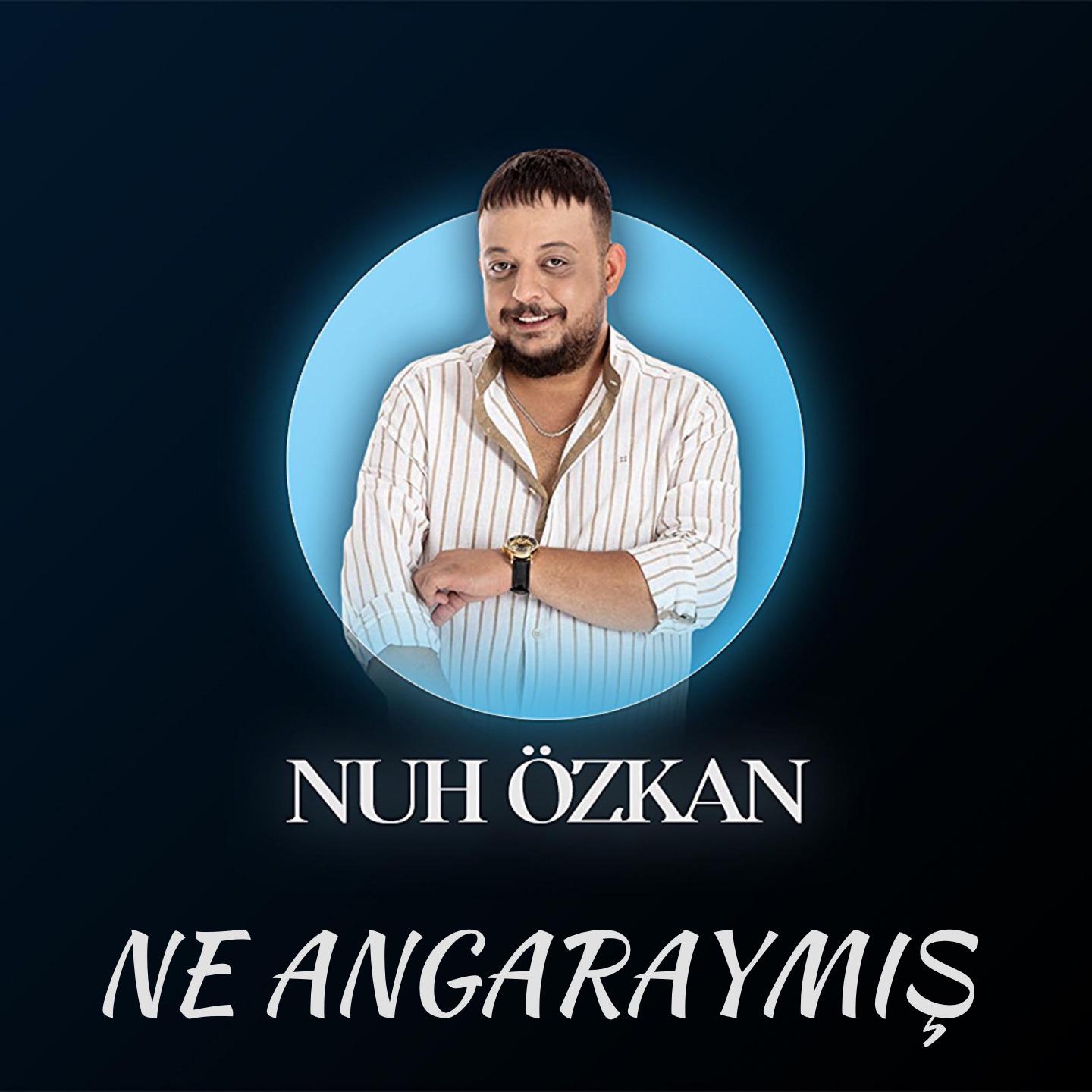 Постер альбома Ne Angaraymış