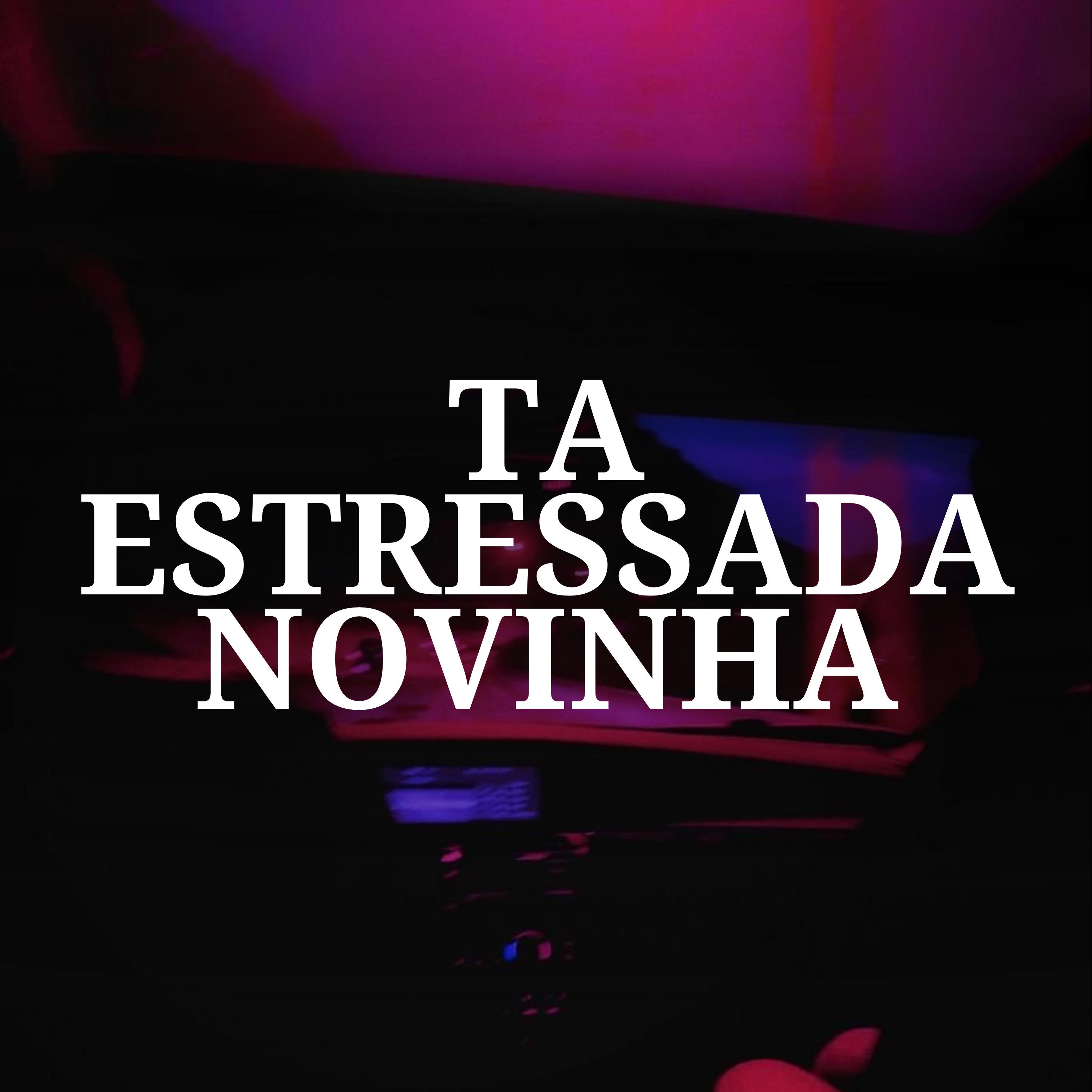 Постер альбома Ta Estressada Novinha