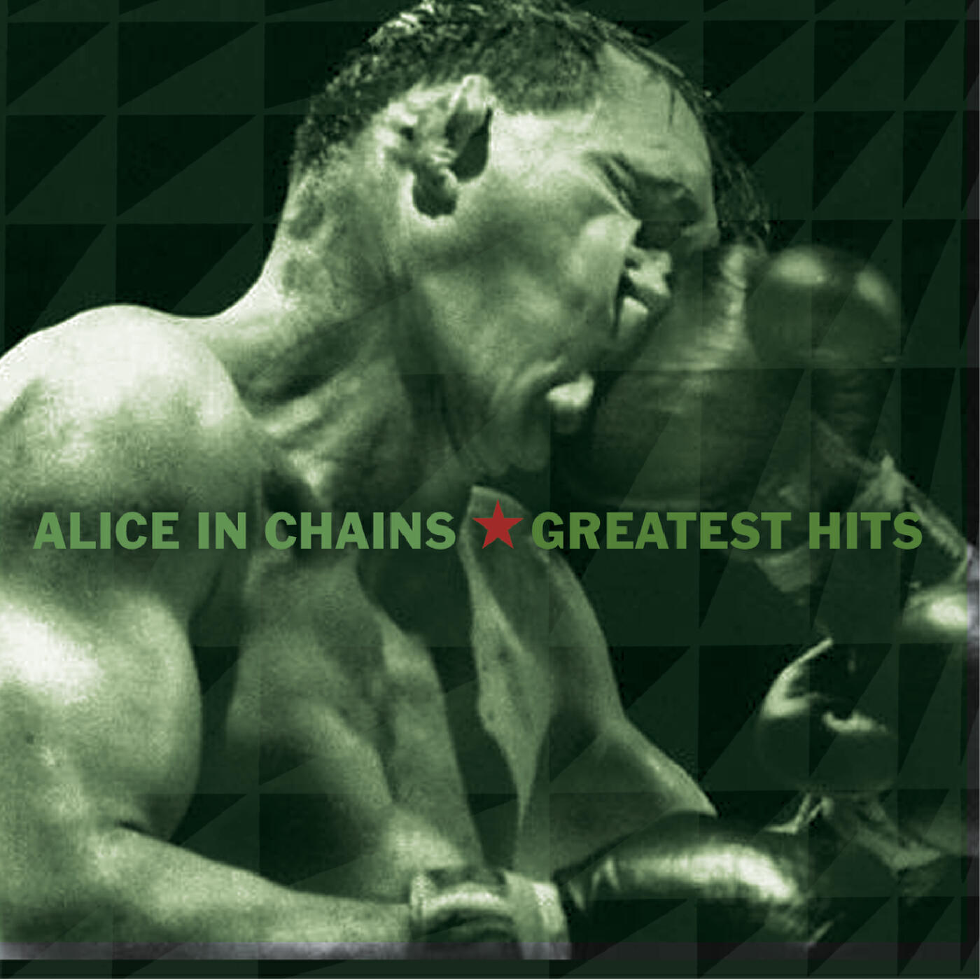 Alice In Chains - Them Bones