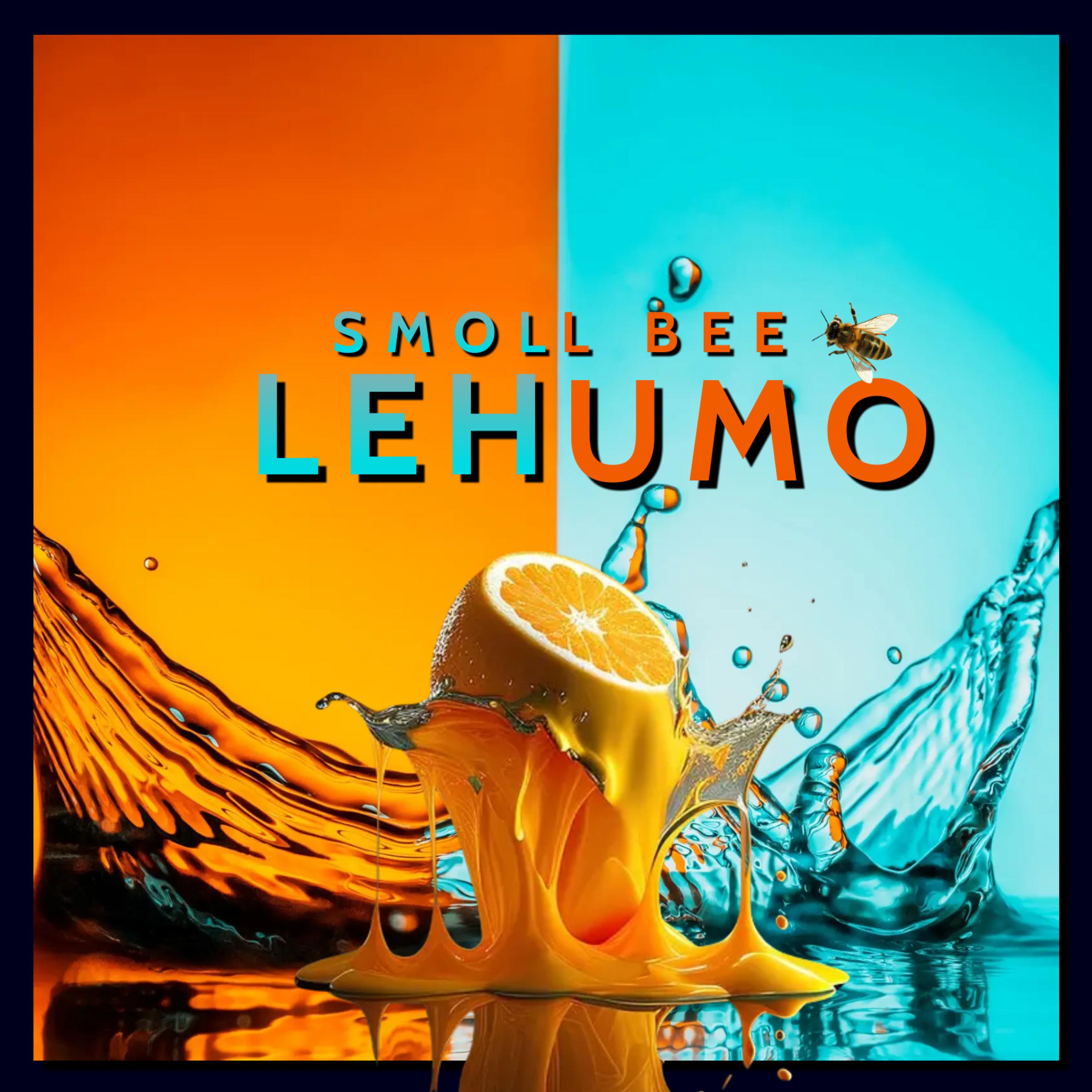 Постер альбома Lehumo