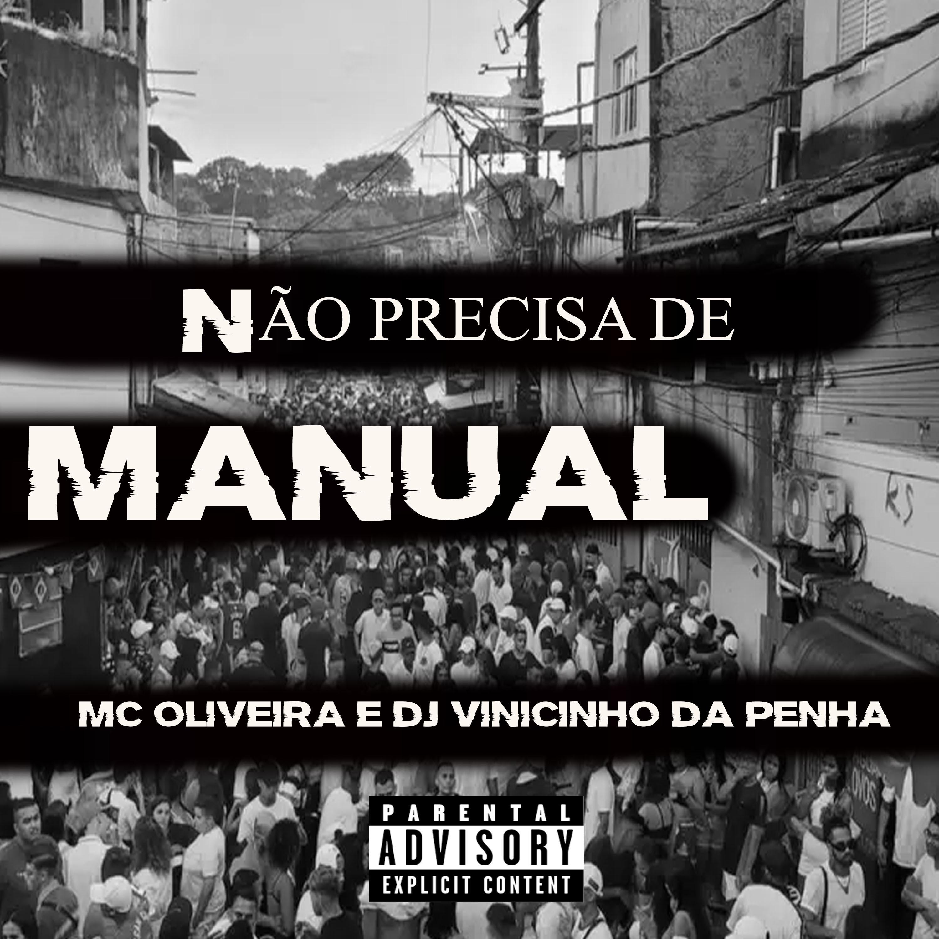 Постер альбома Não Precisa de Manual