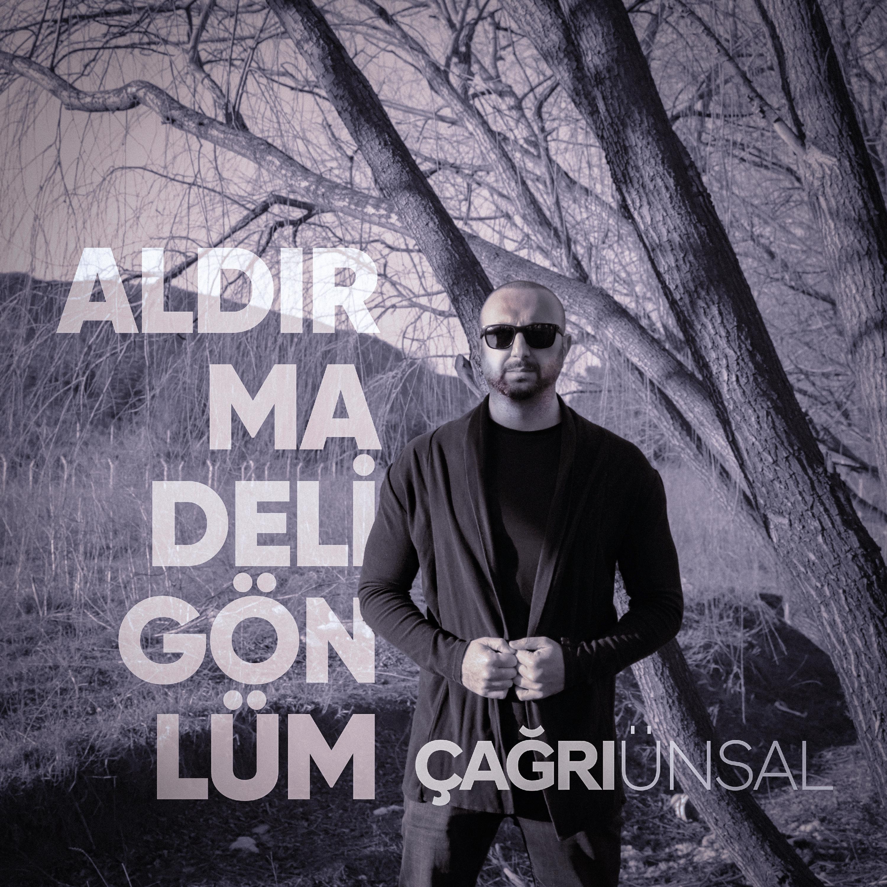Постер альбома Aldırma Deli Gönlüm