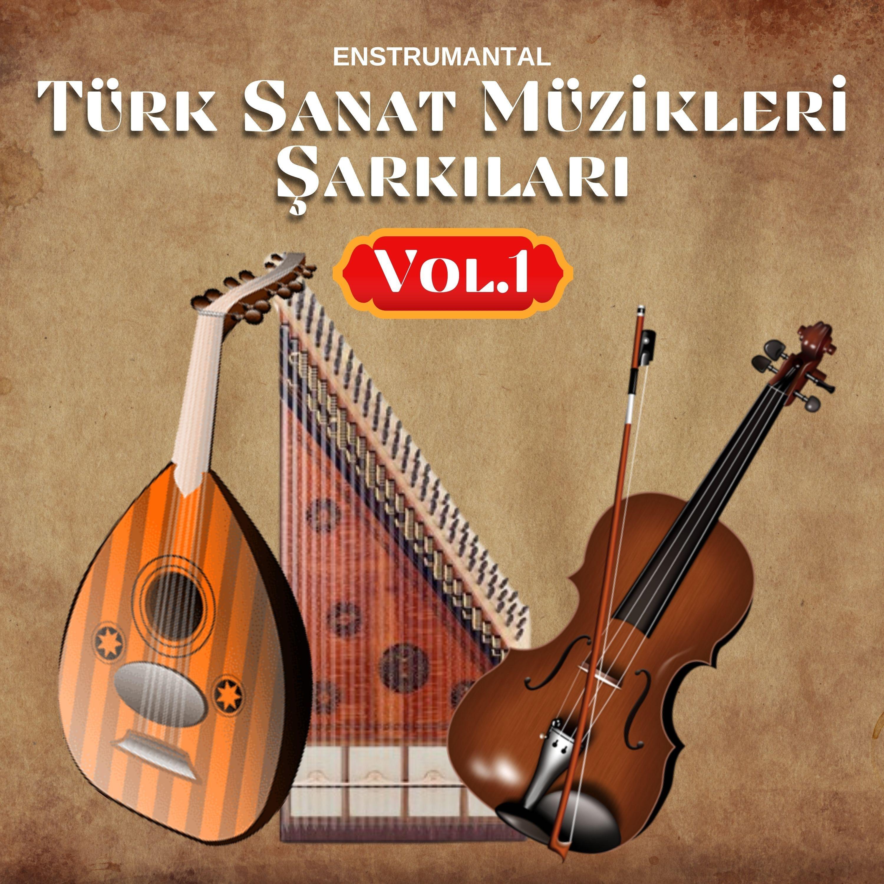 Постер альбома Türk Sanat Müzikleri Şarkıları