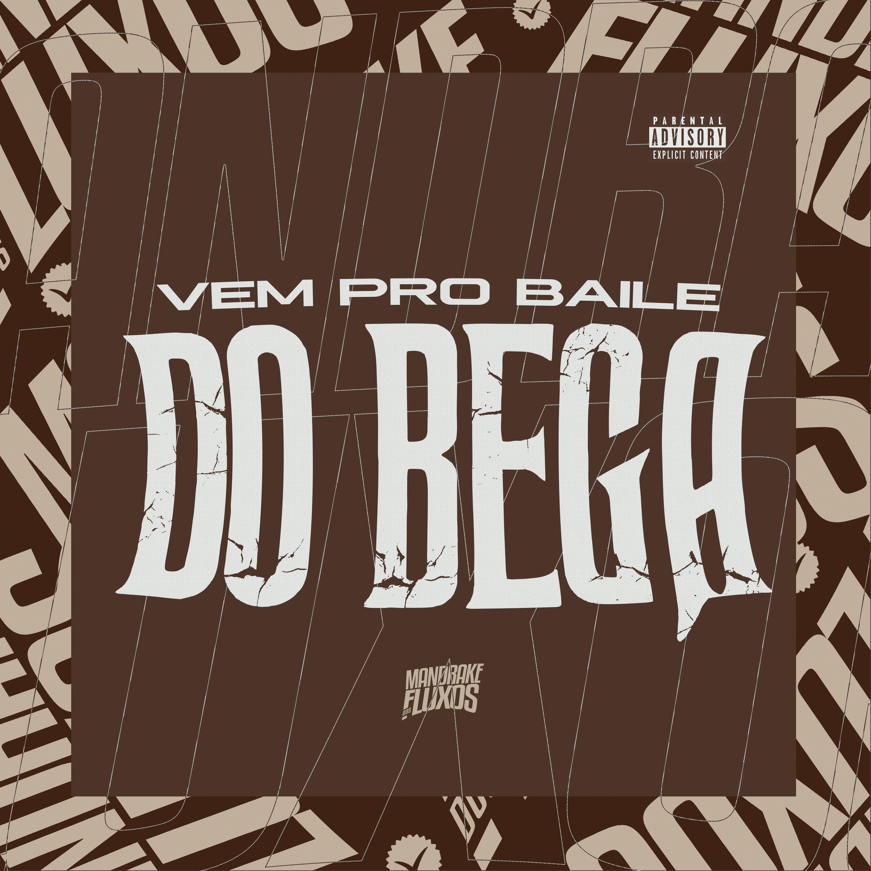 Постер альбома Vem pro baile do bega