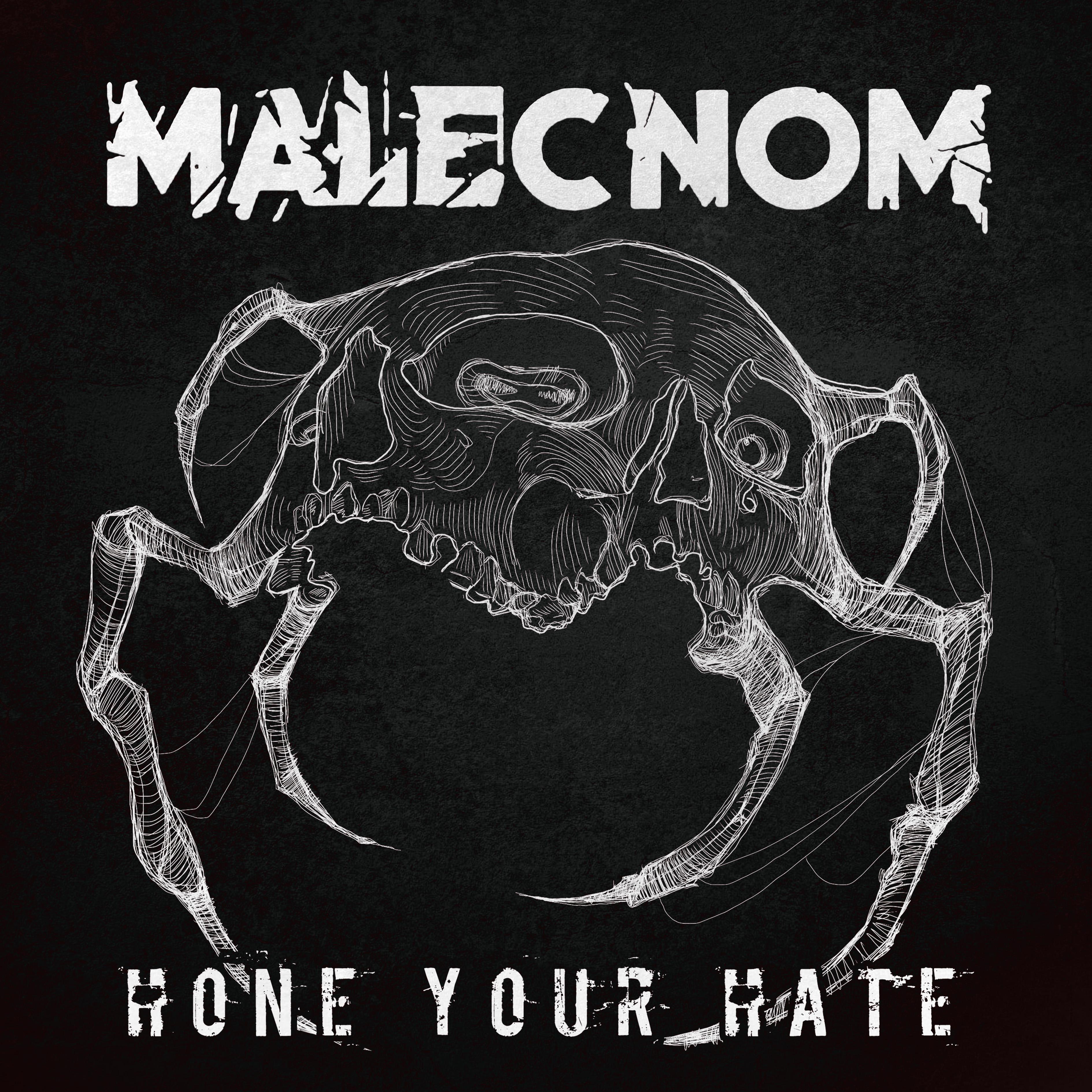 Постер альбома Hone Your Hate