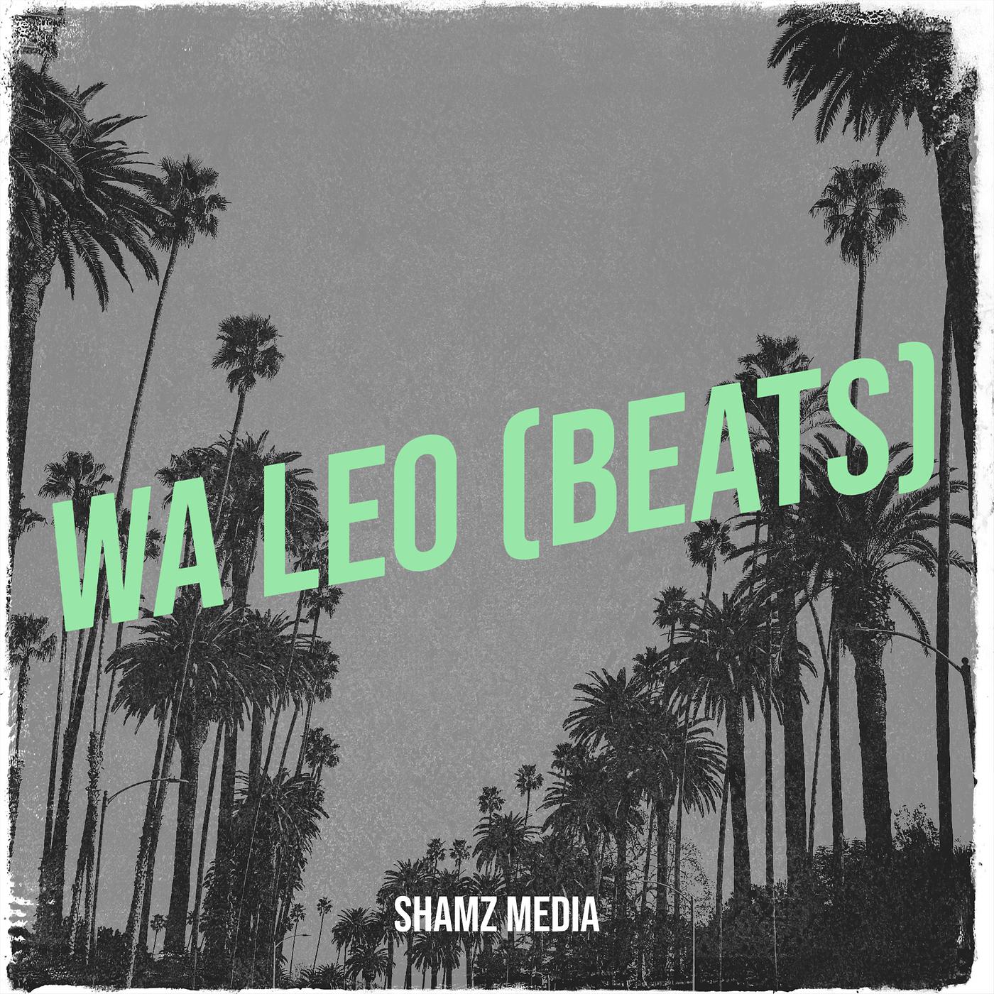 Постер альбома Wa Leo (Beats)
