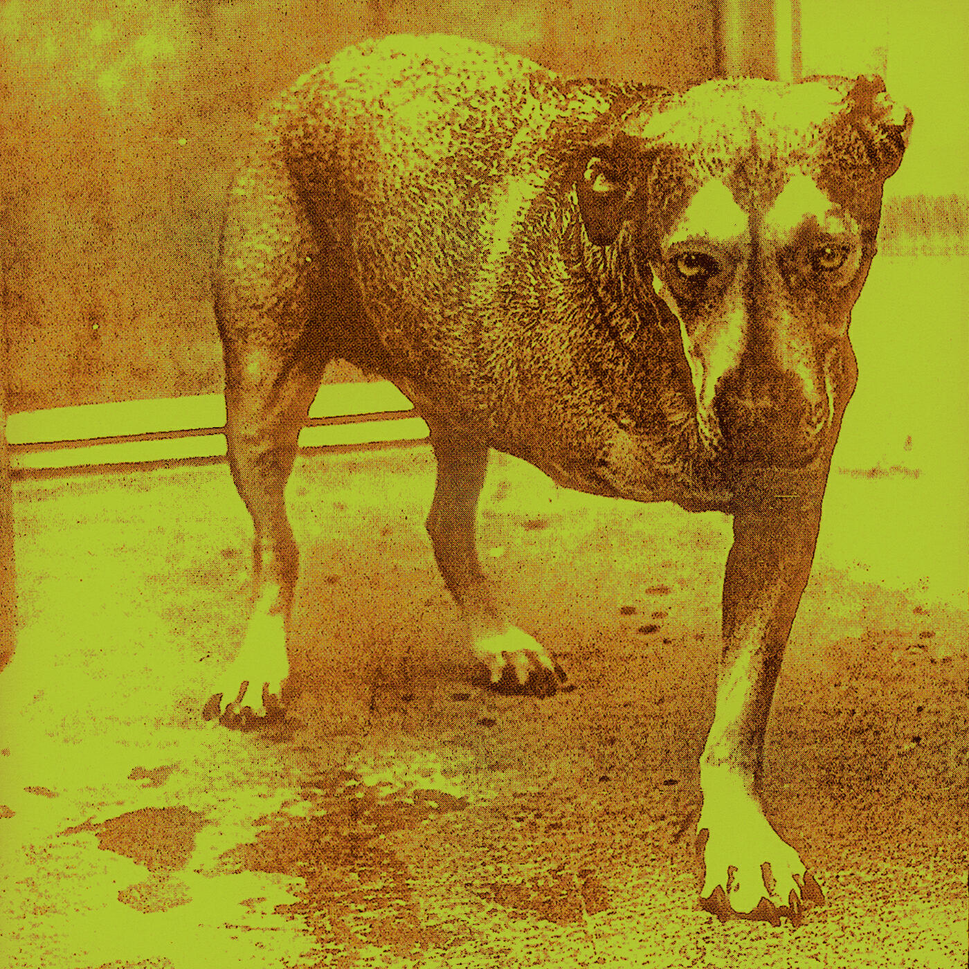 Alice In Chains - Nothin' Song