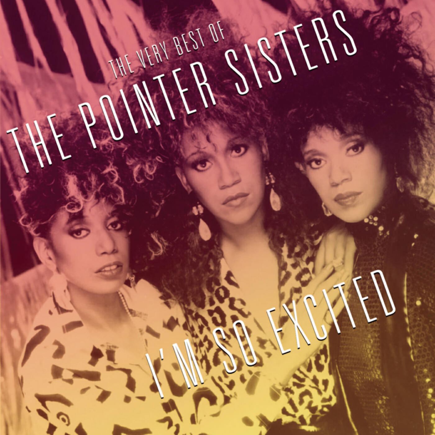 The Pointer Sisters - Slow Hand